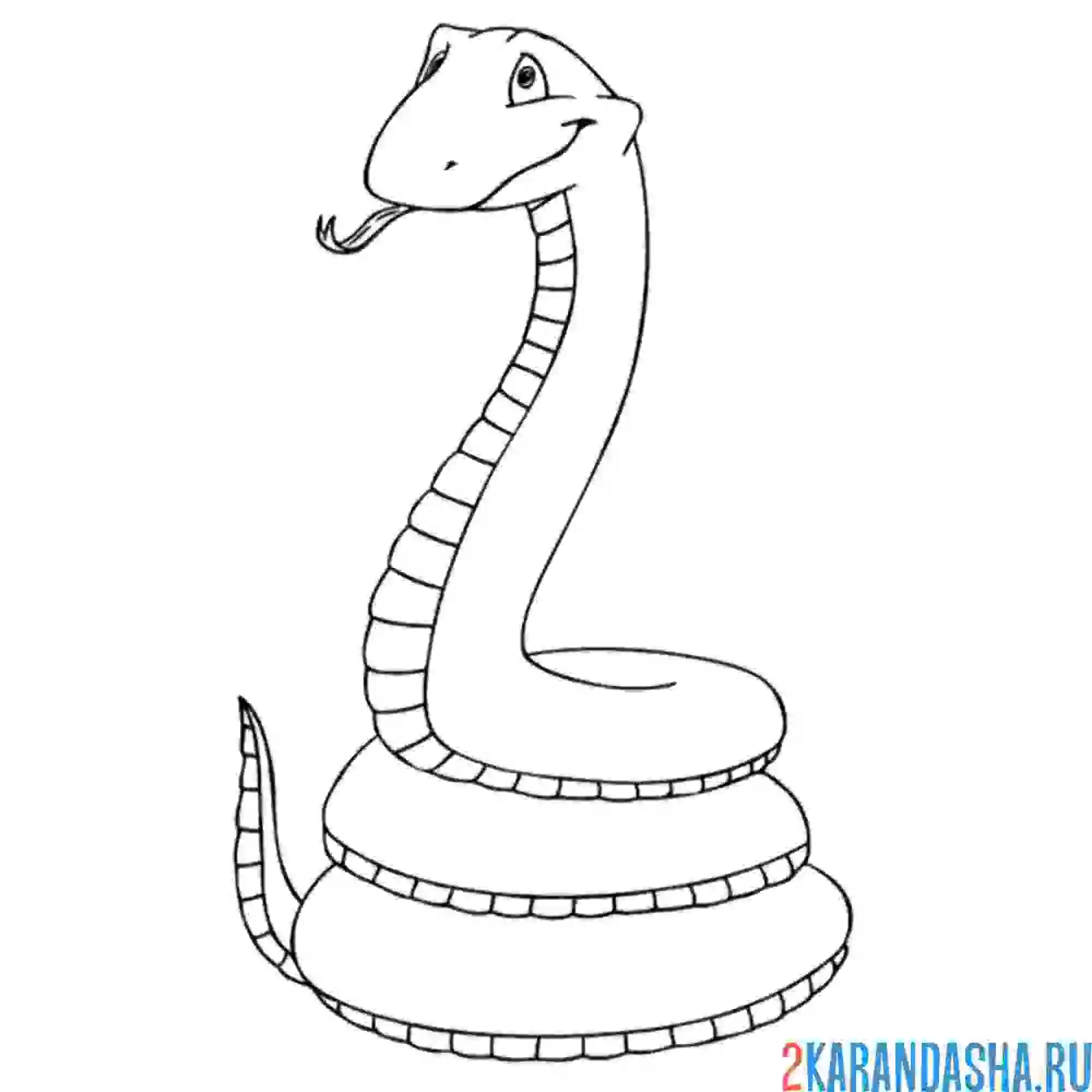 Раскраска большая змея
