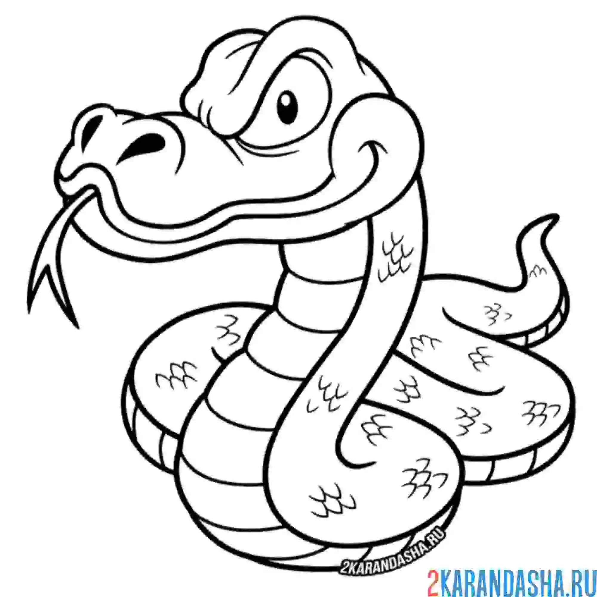 Раскраска серьезная змея мальчик