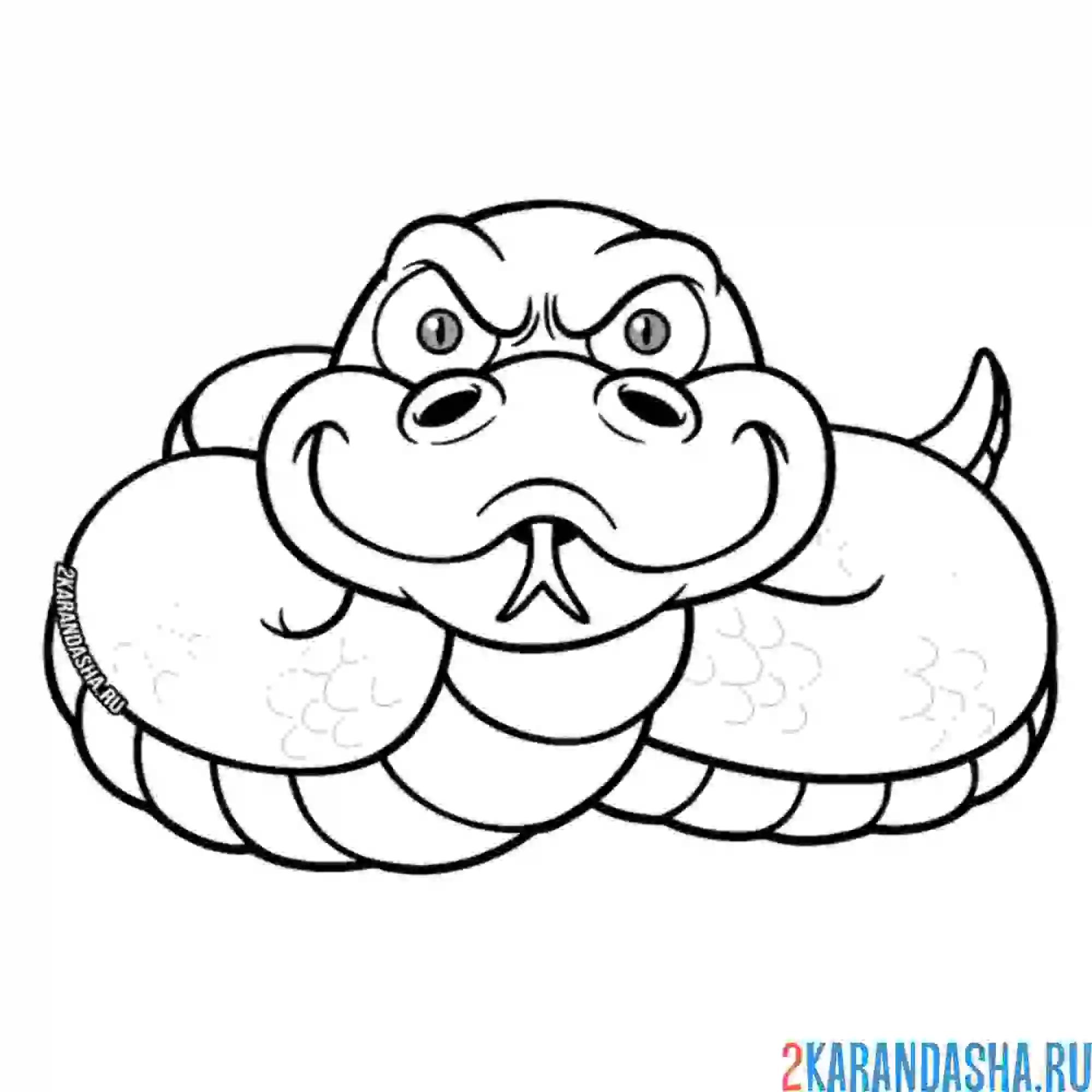 Раскраска суровая змея