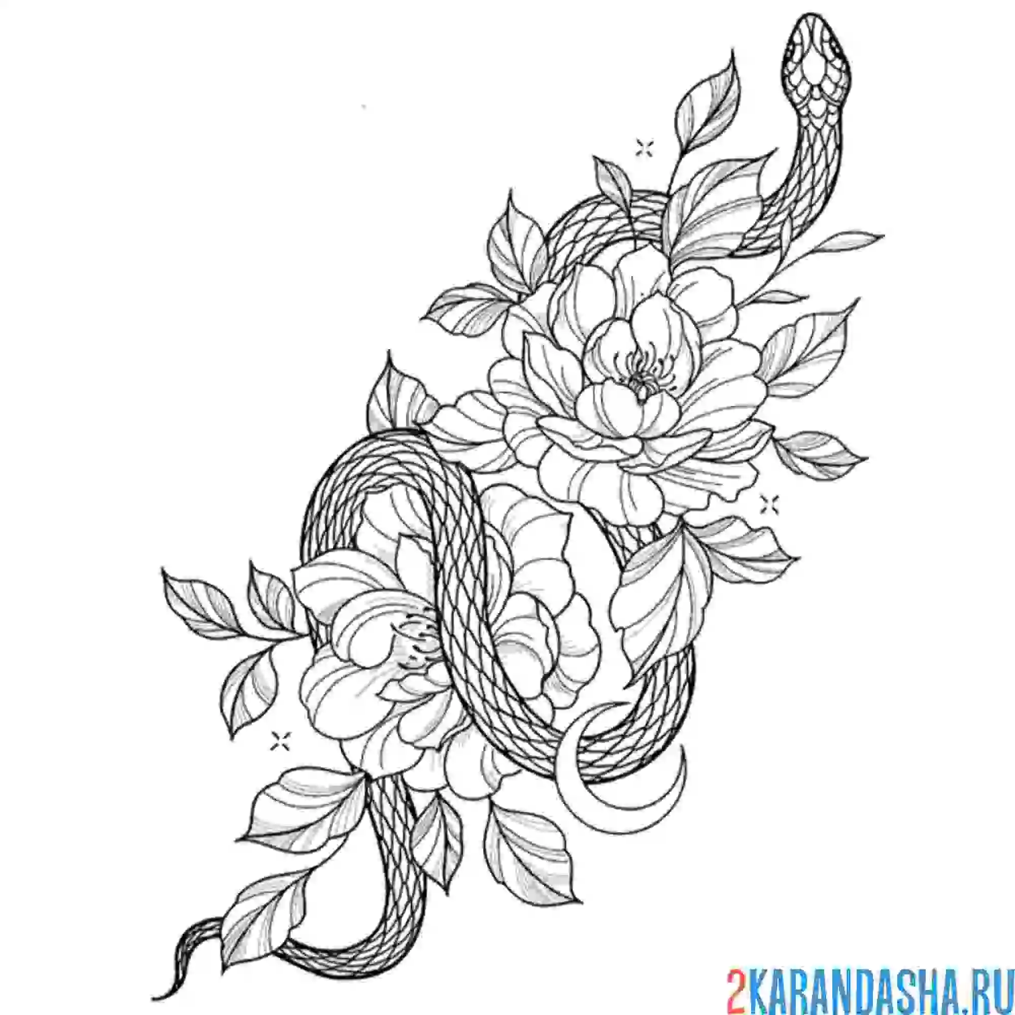 Раскраска тату змея в цветах