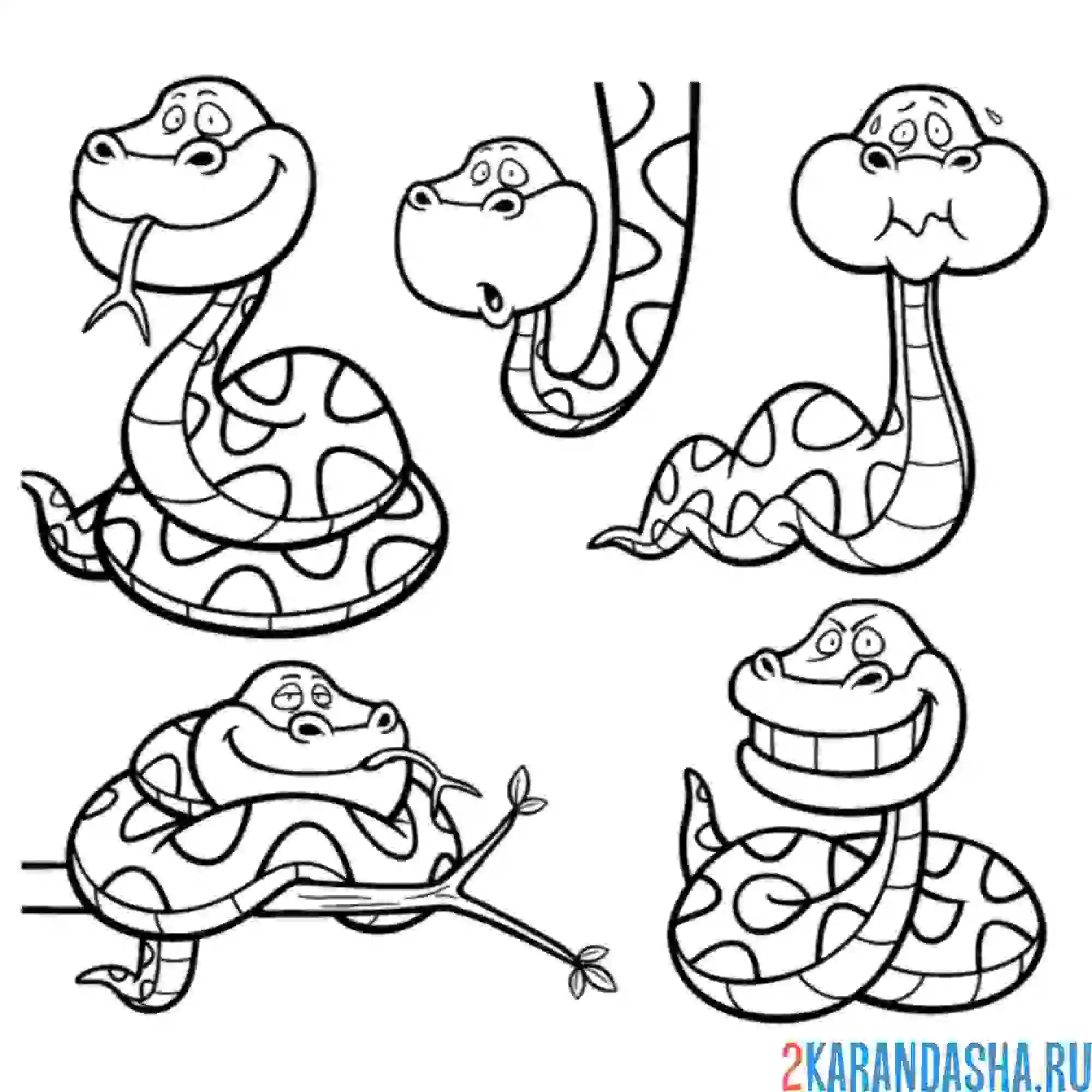 Раскраска смешные змеи