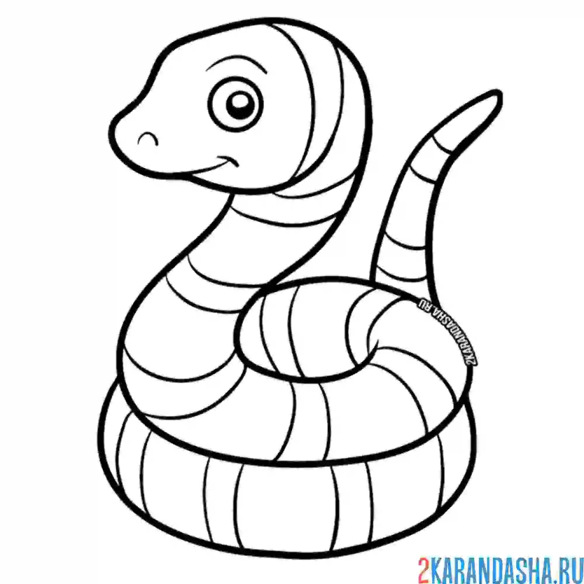 Раскраска змея в полоску