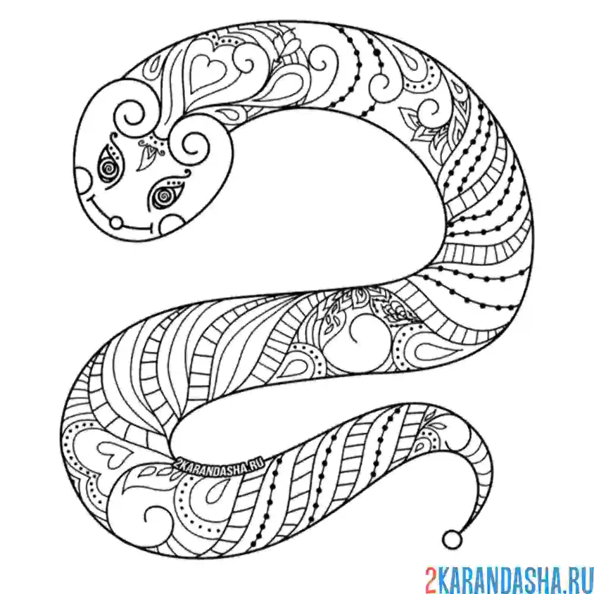Раскраска змея антистресс