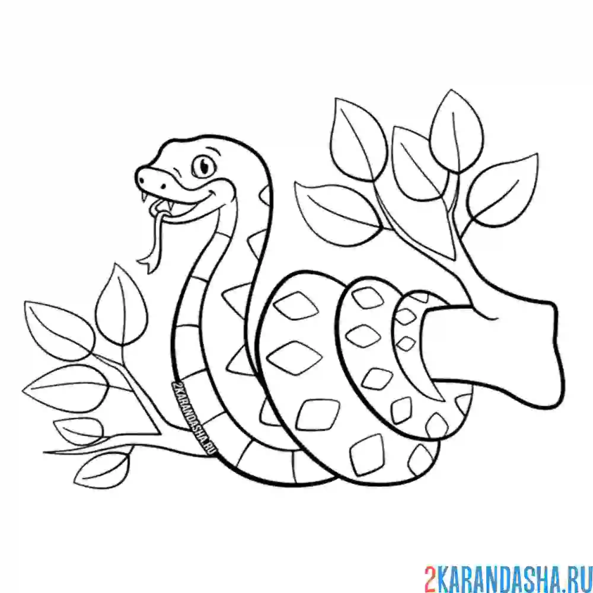 Раскраска змея на ветке дерева