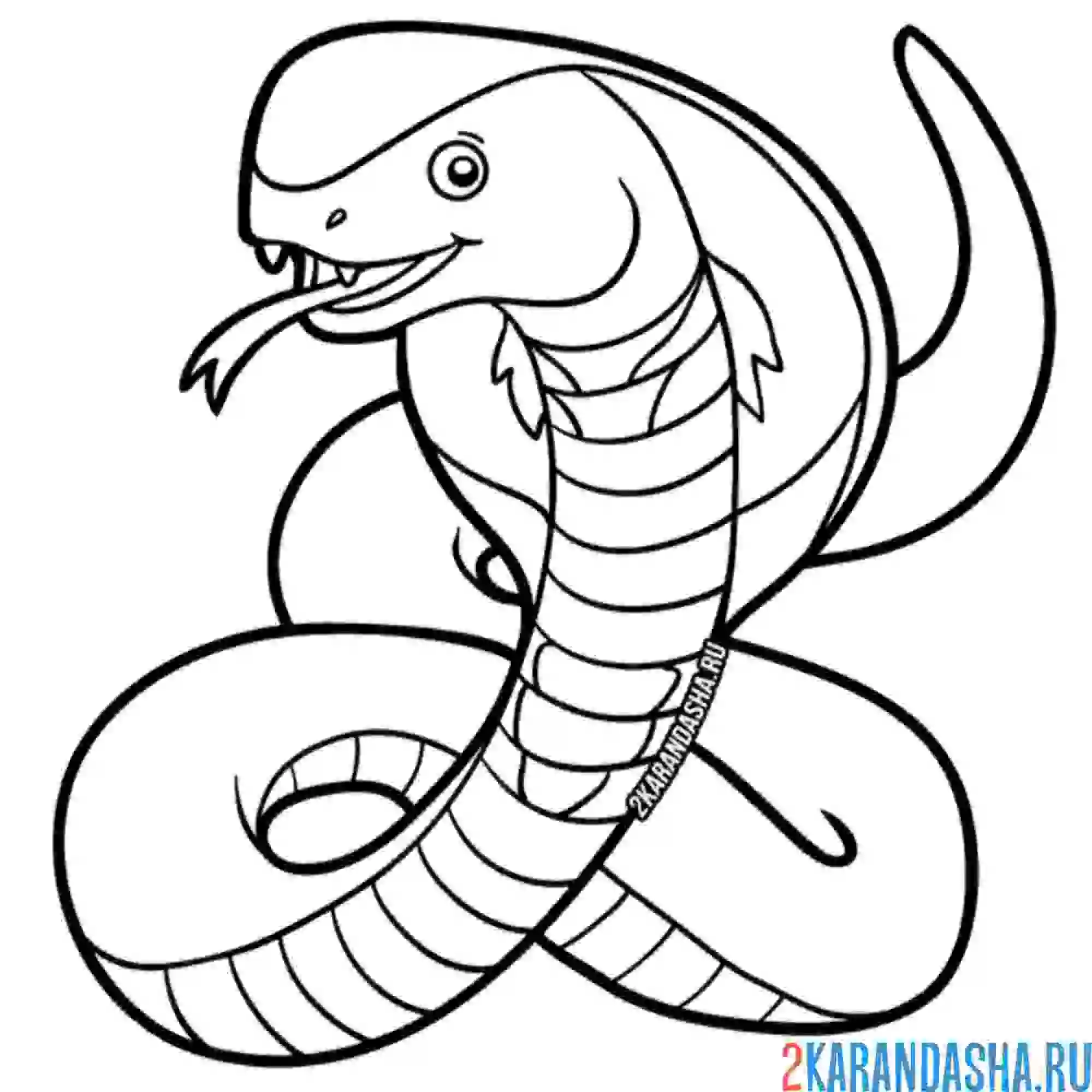 Раскраска кобра опасная змея