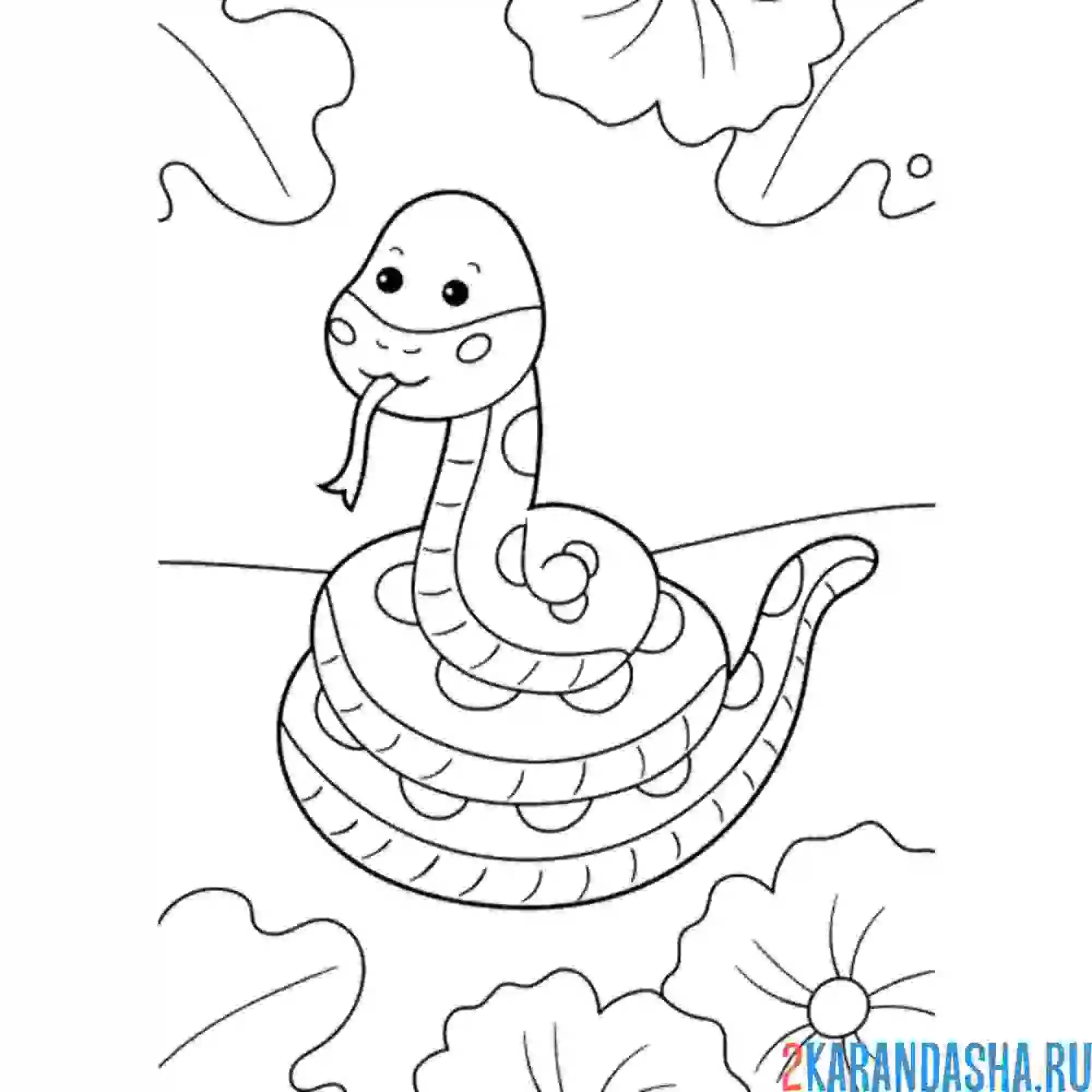 Раскраска удав змея