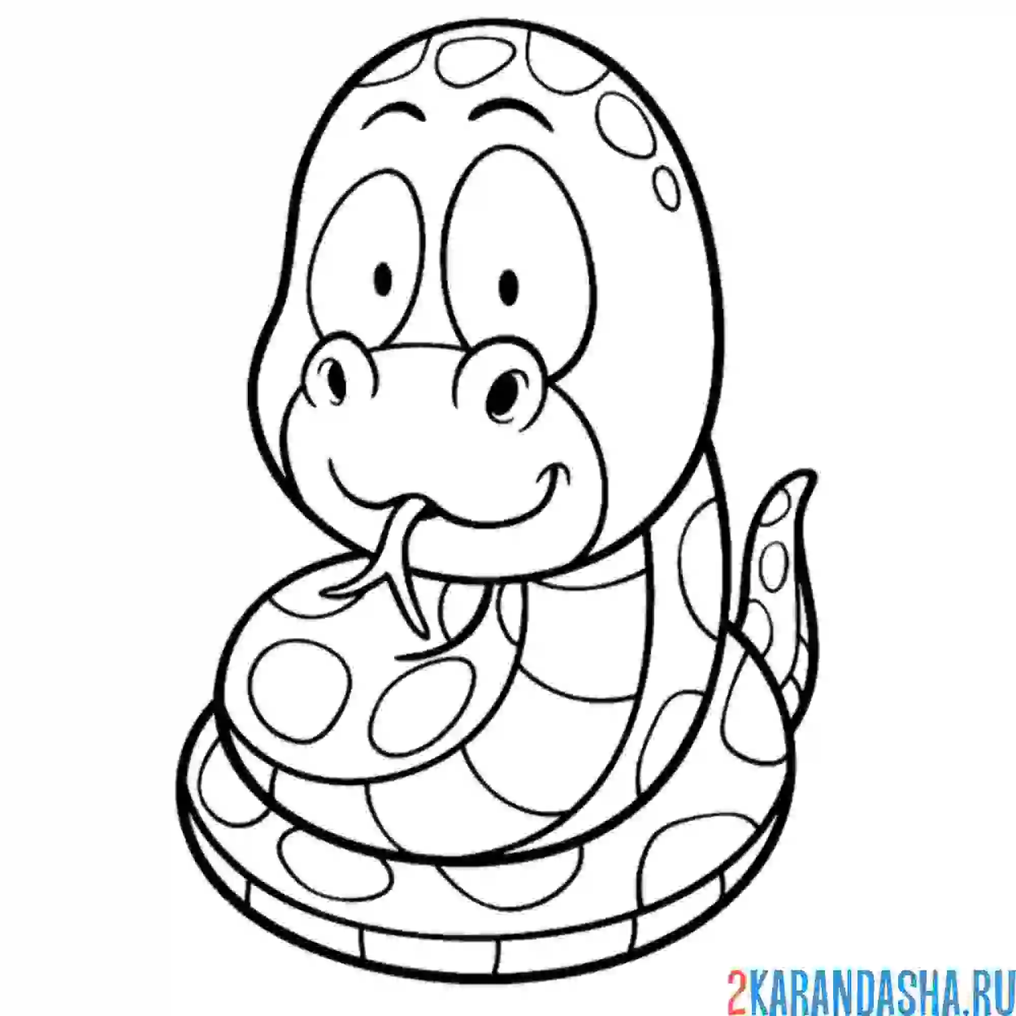 Раскраска маленькая змейка