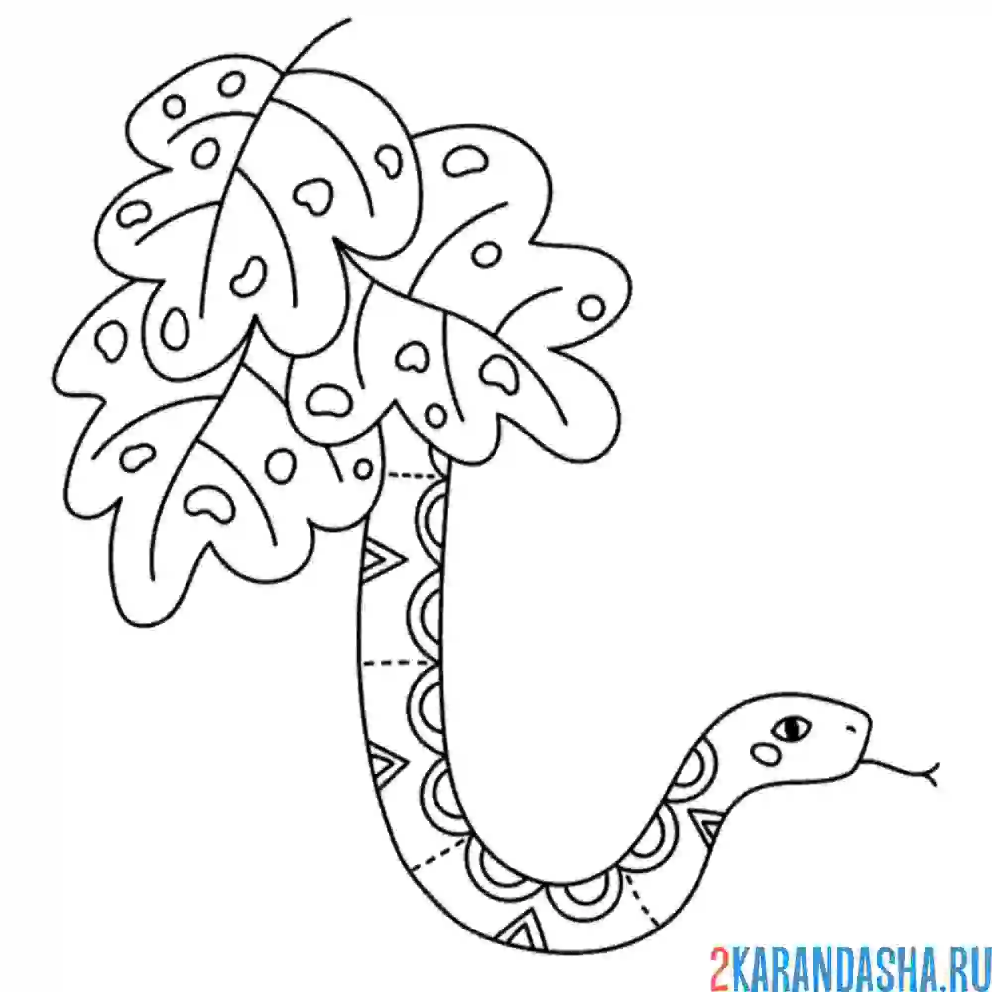 Раскраска в листве змея