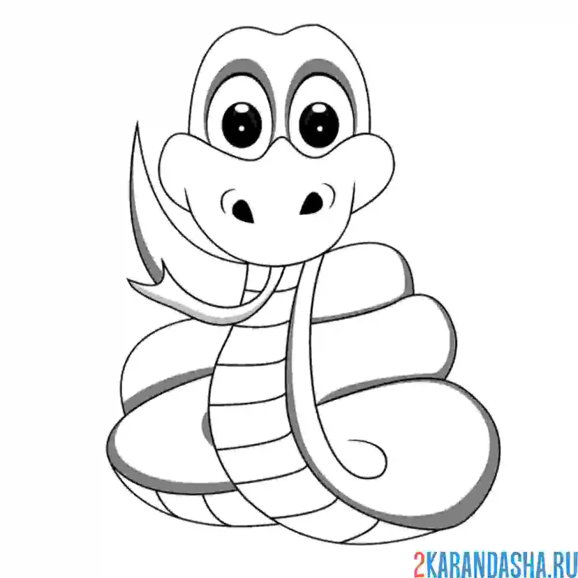 Раскраска малыш змеи