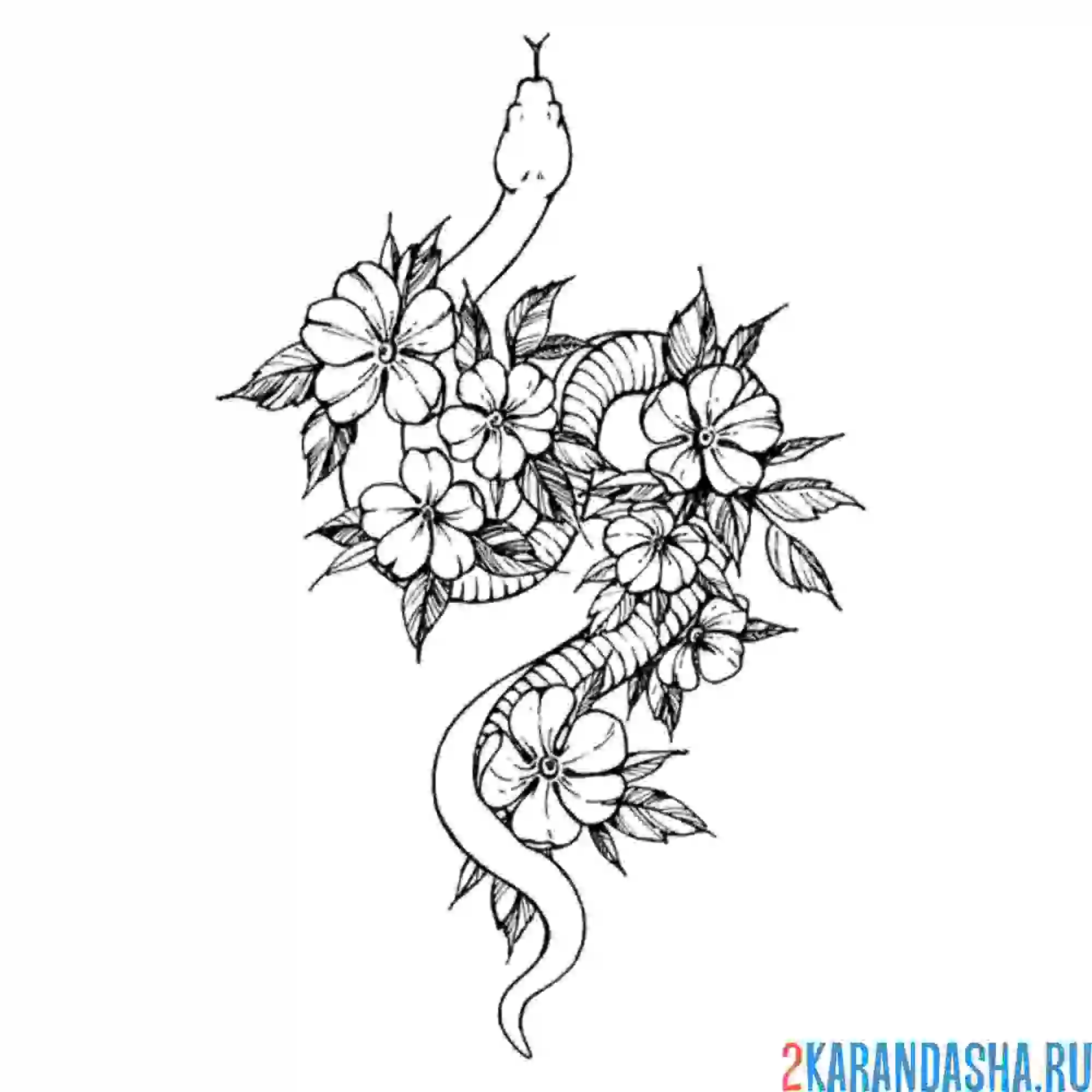 Раскраска змея цветы тату