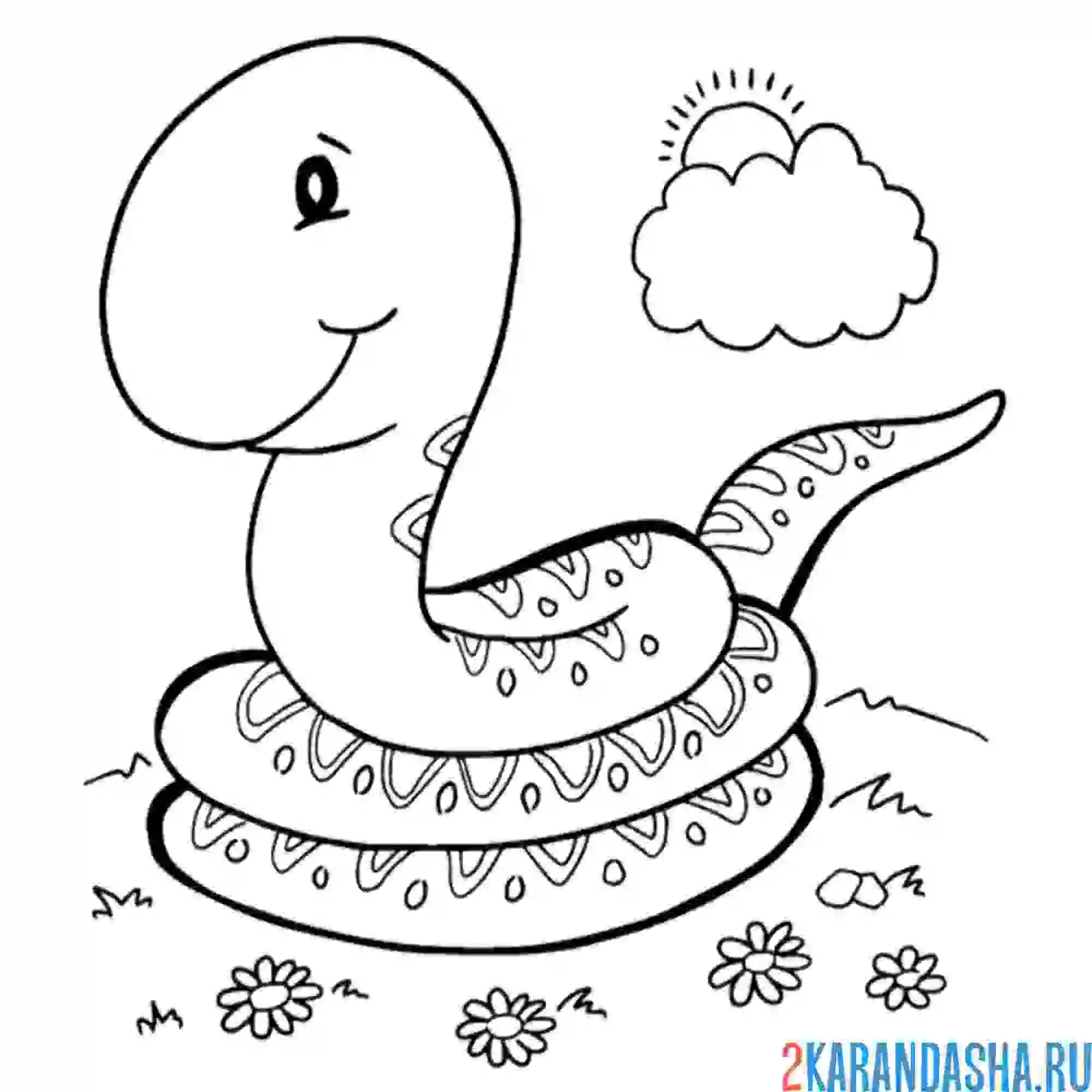 Раскраска безобидная змейка