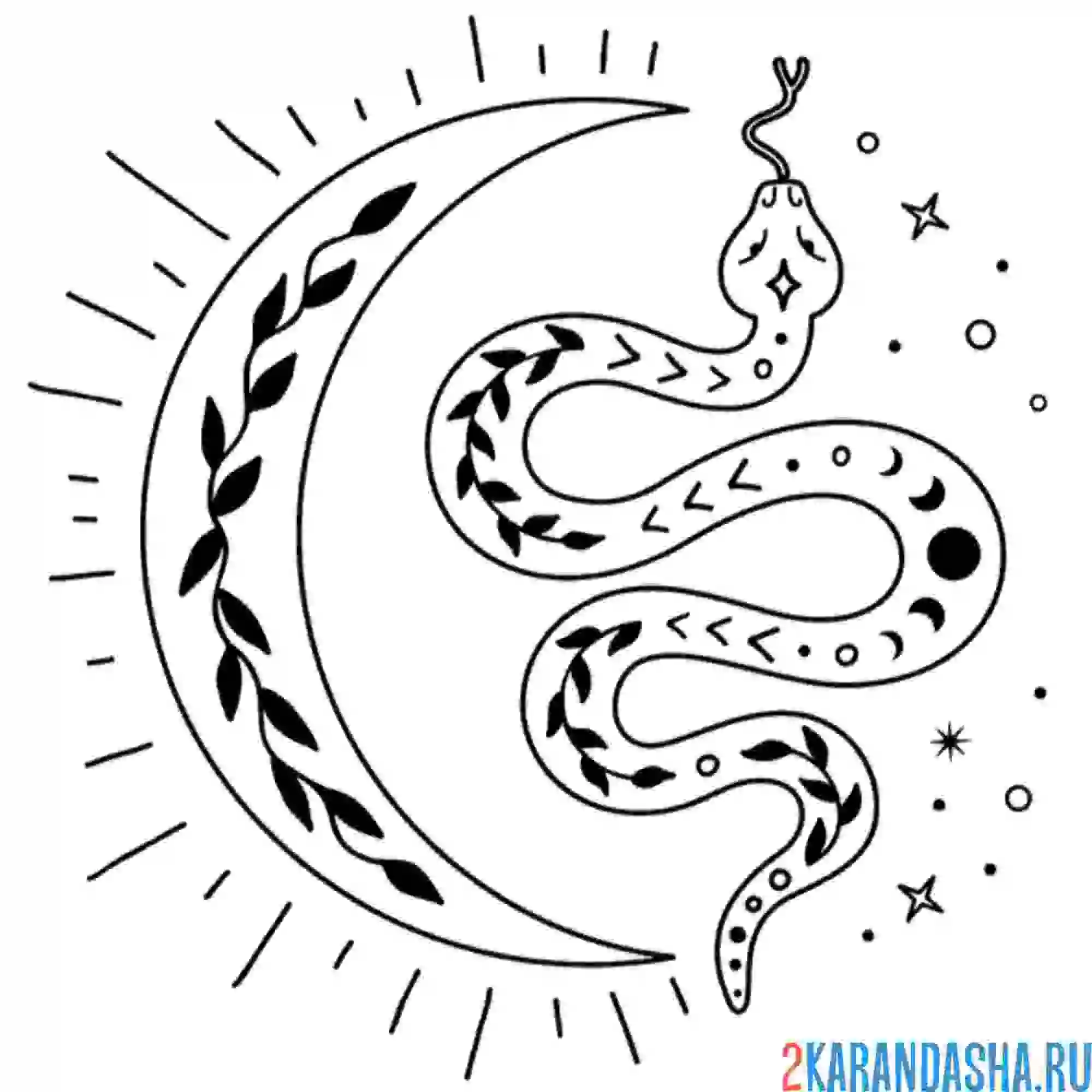 Раскраска змея и луна