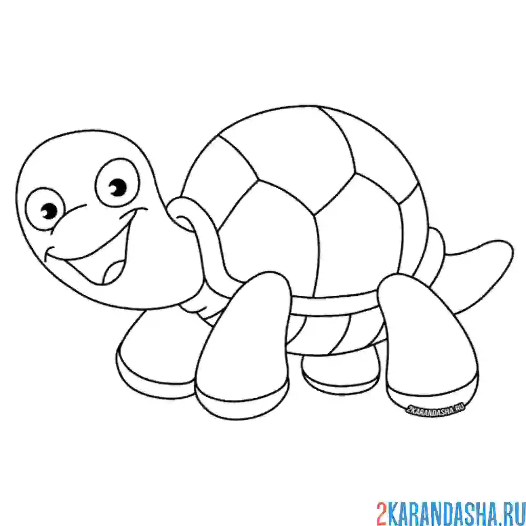Раскраска черепашка простая