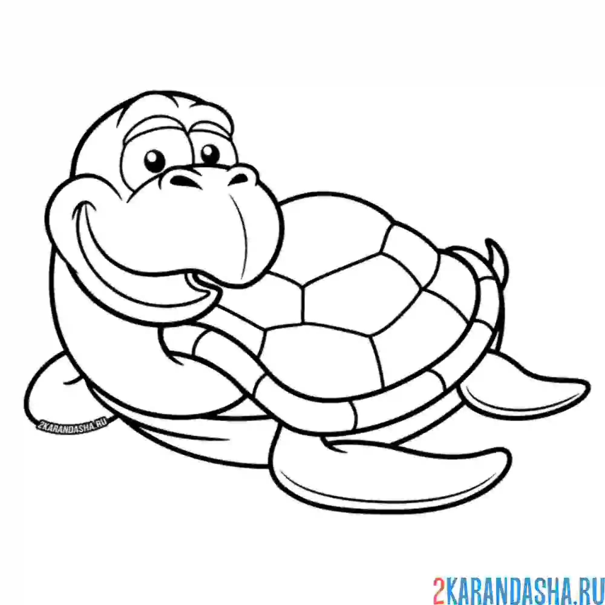 Раскраска мультяшка черепаха