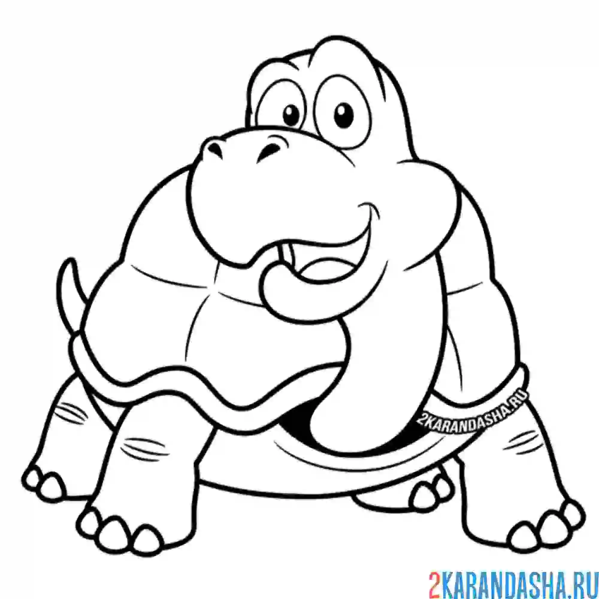 Раскраска большая черепаха в возрасте