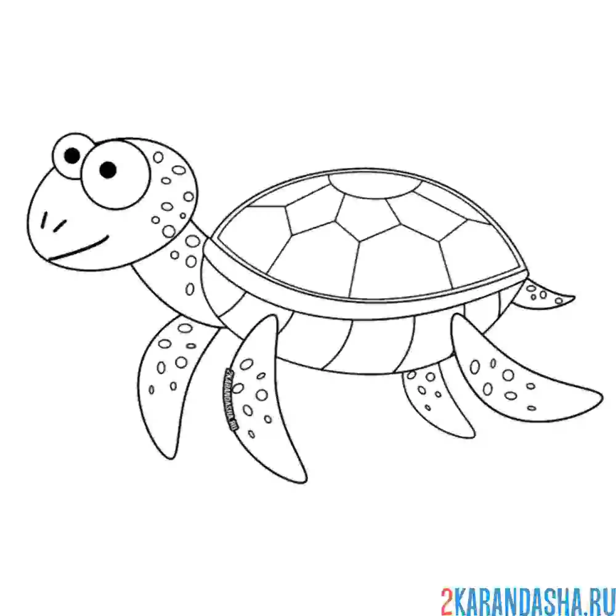 Раскраска забавная черепаха