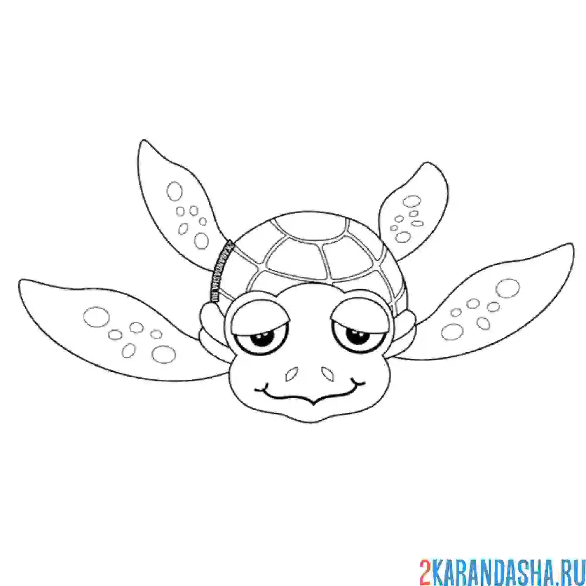 Раскраска грустная черепаха