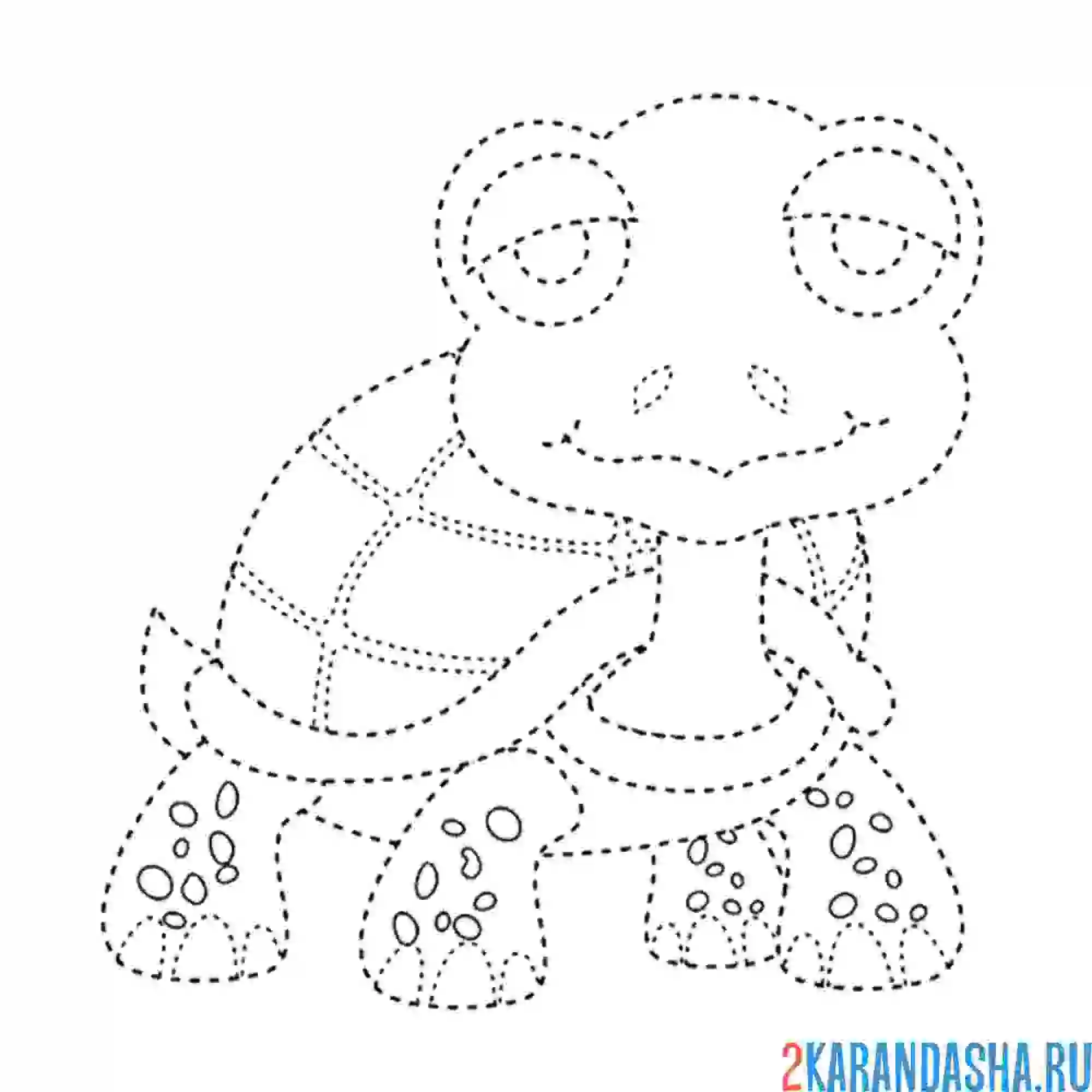 Раскраска обведи черепаху