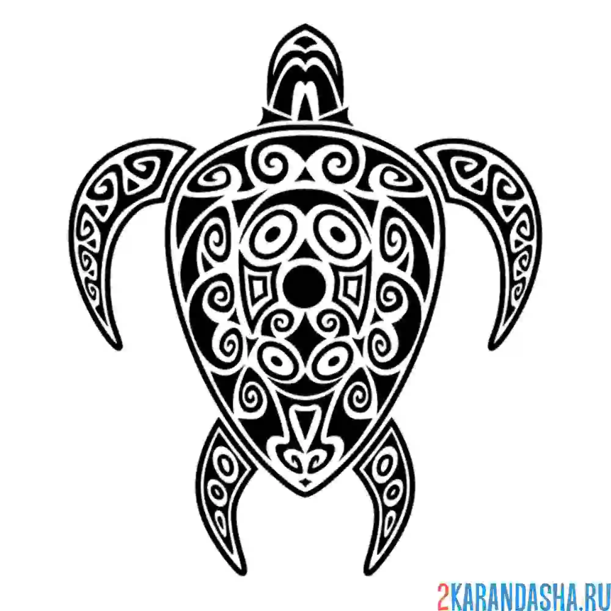 Раскраска черепаха из узоров