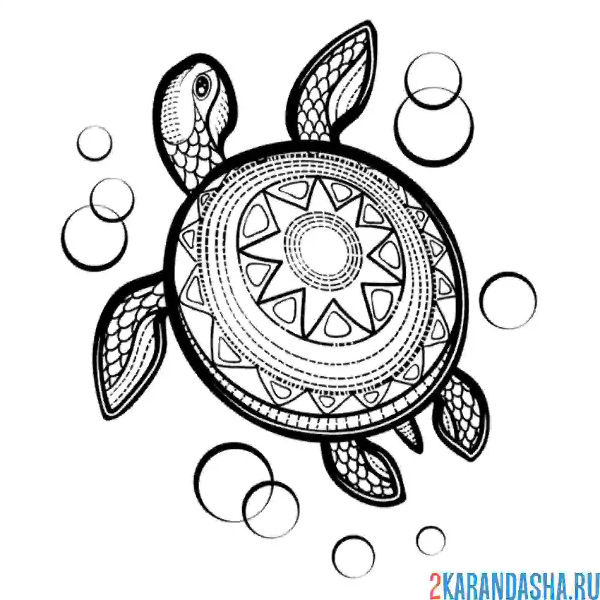 Раскраска необычная черепаха