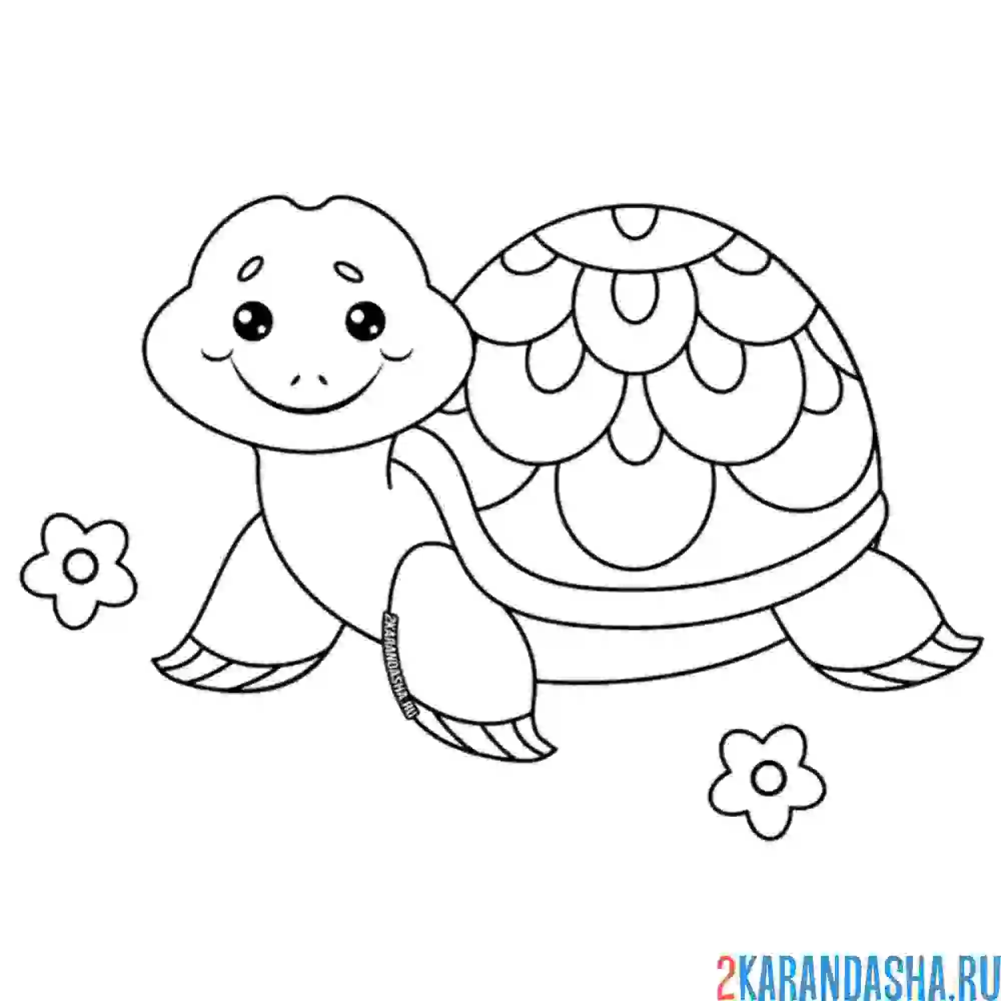Раскраска черепашка улыбашка