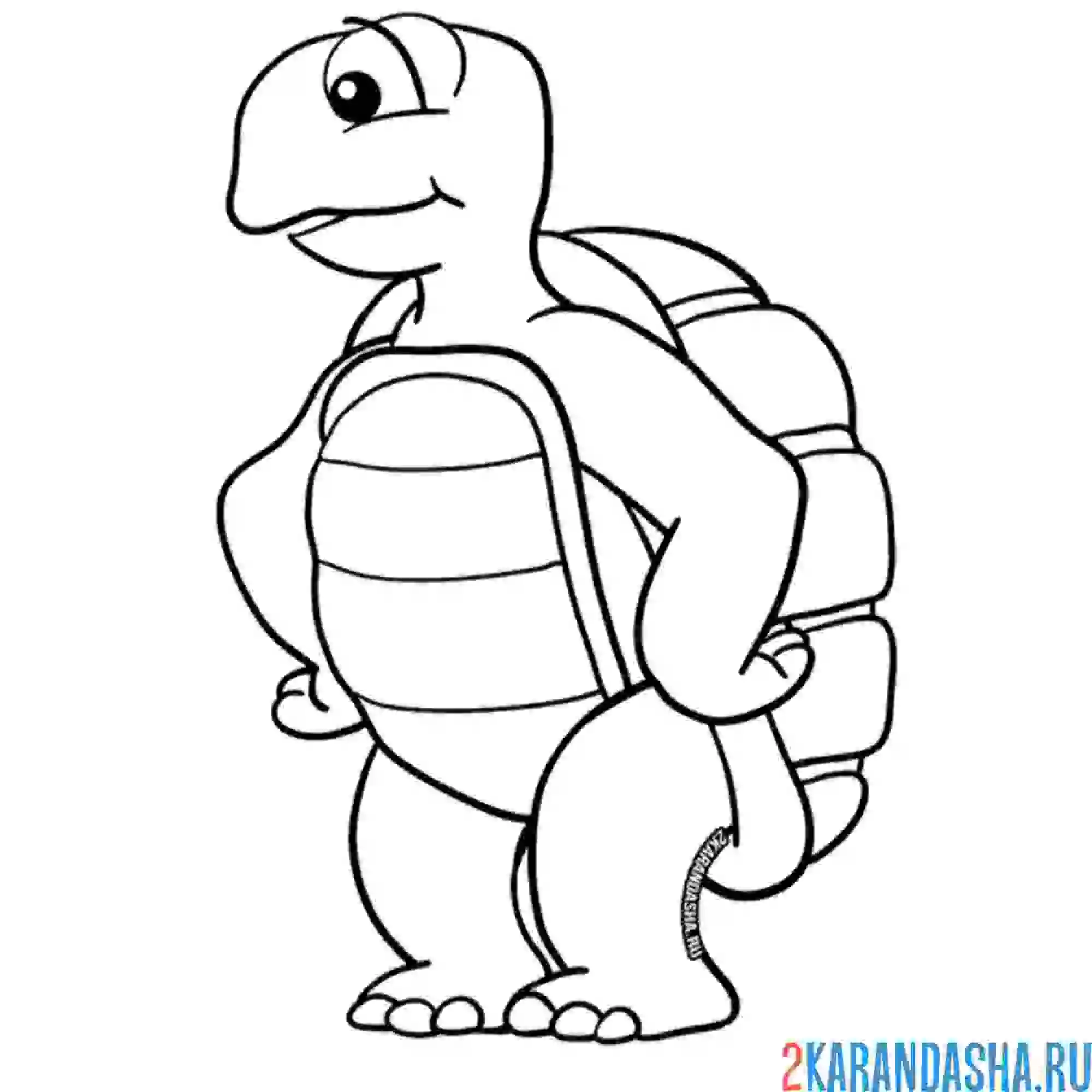 Раскраска черепаха задумался