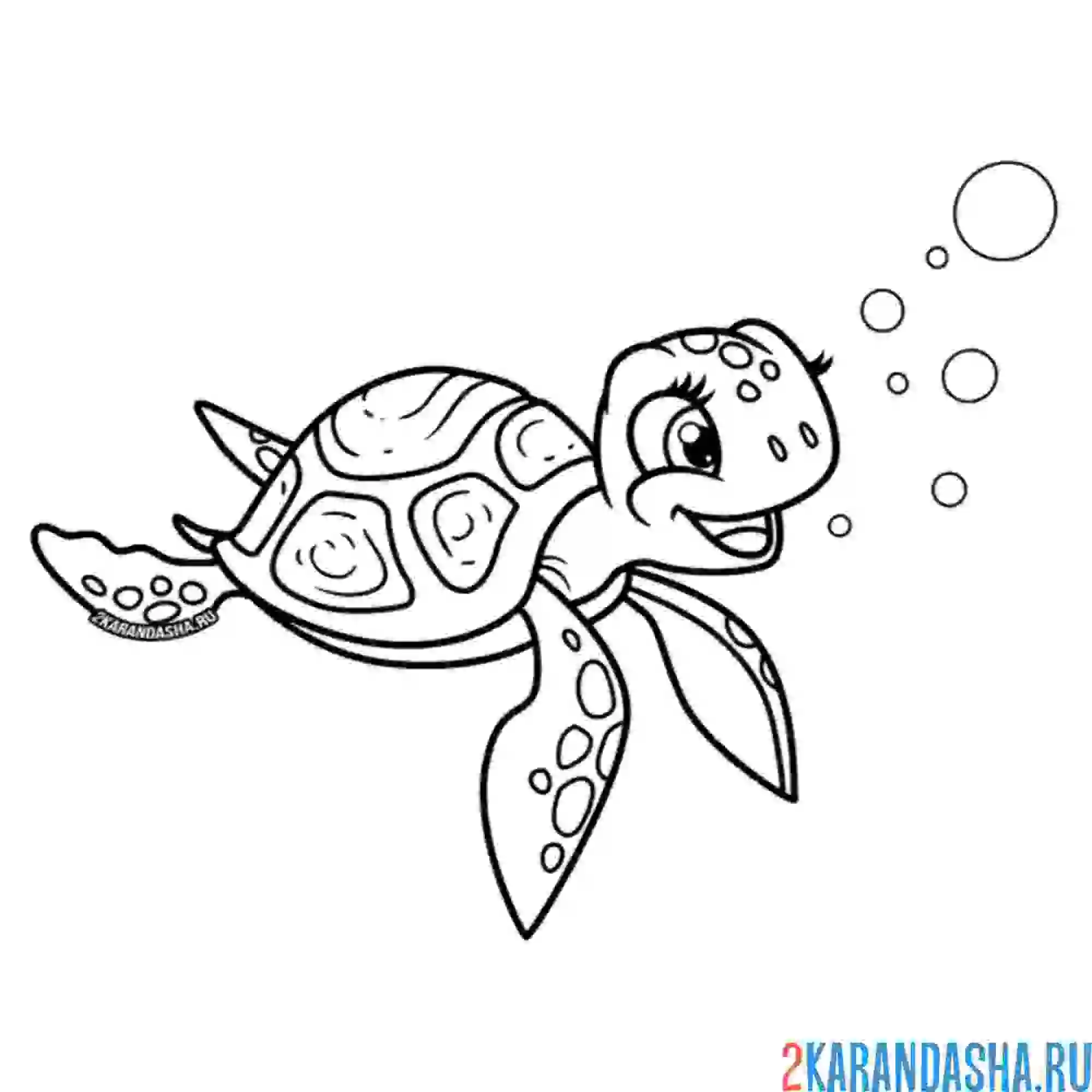 Раскраска красивая черепаха морская