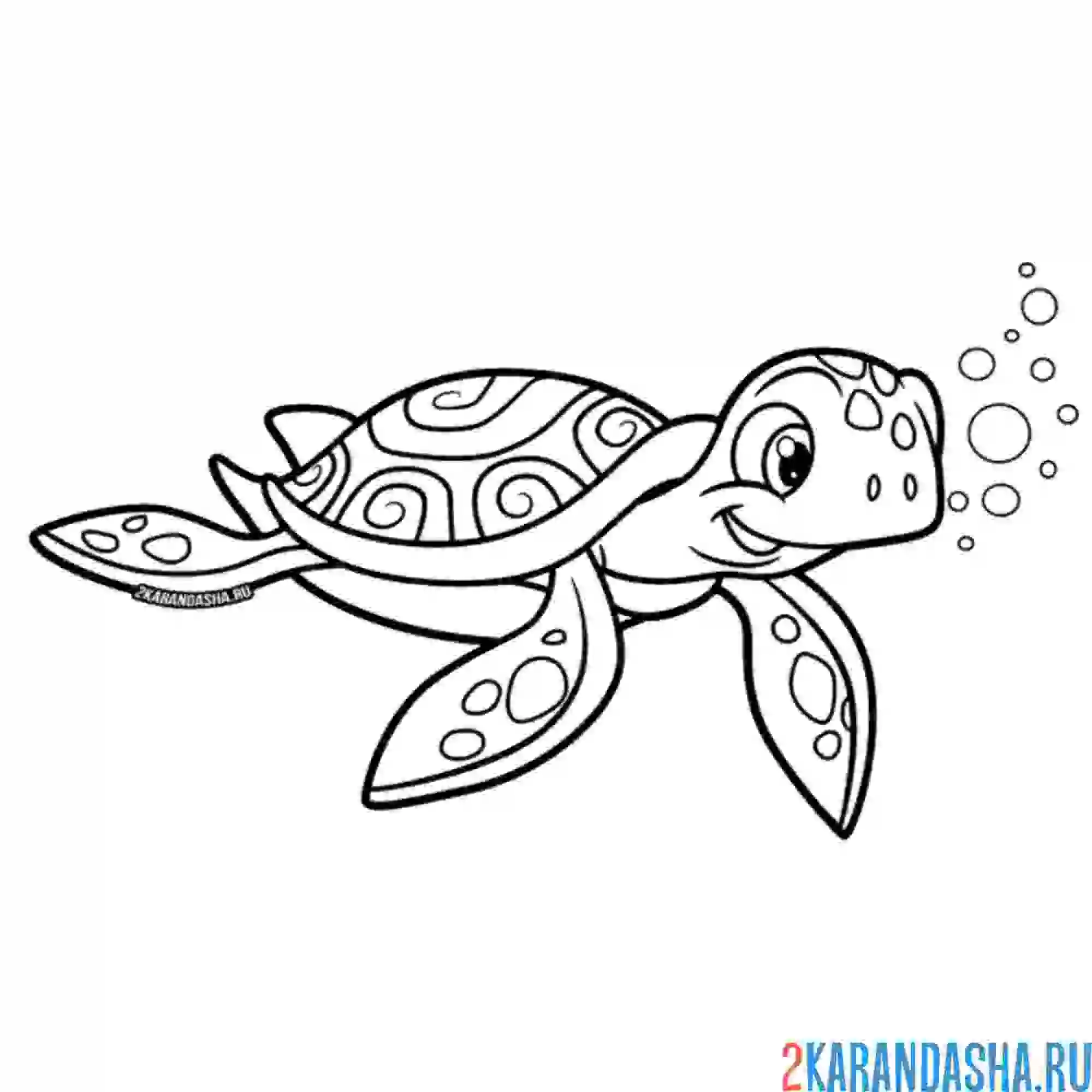 Раскраска милая черепаха под водой