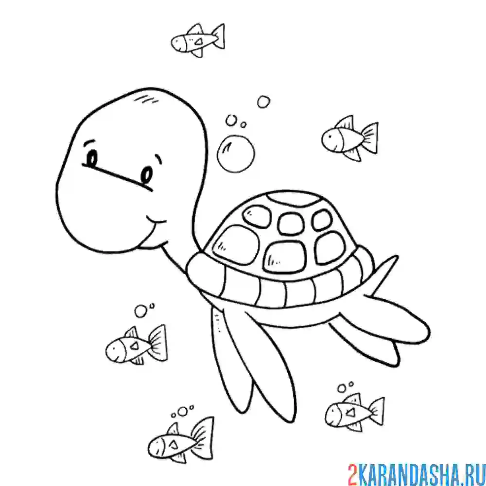 Раскраска черепашка водоплавающая