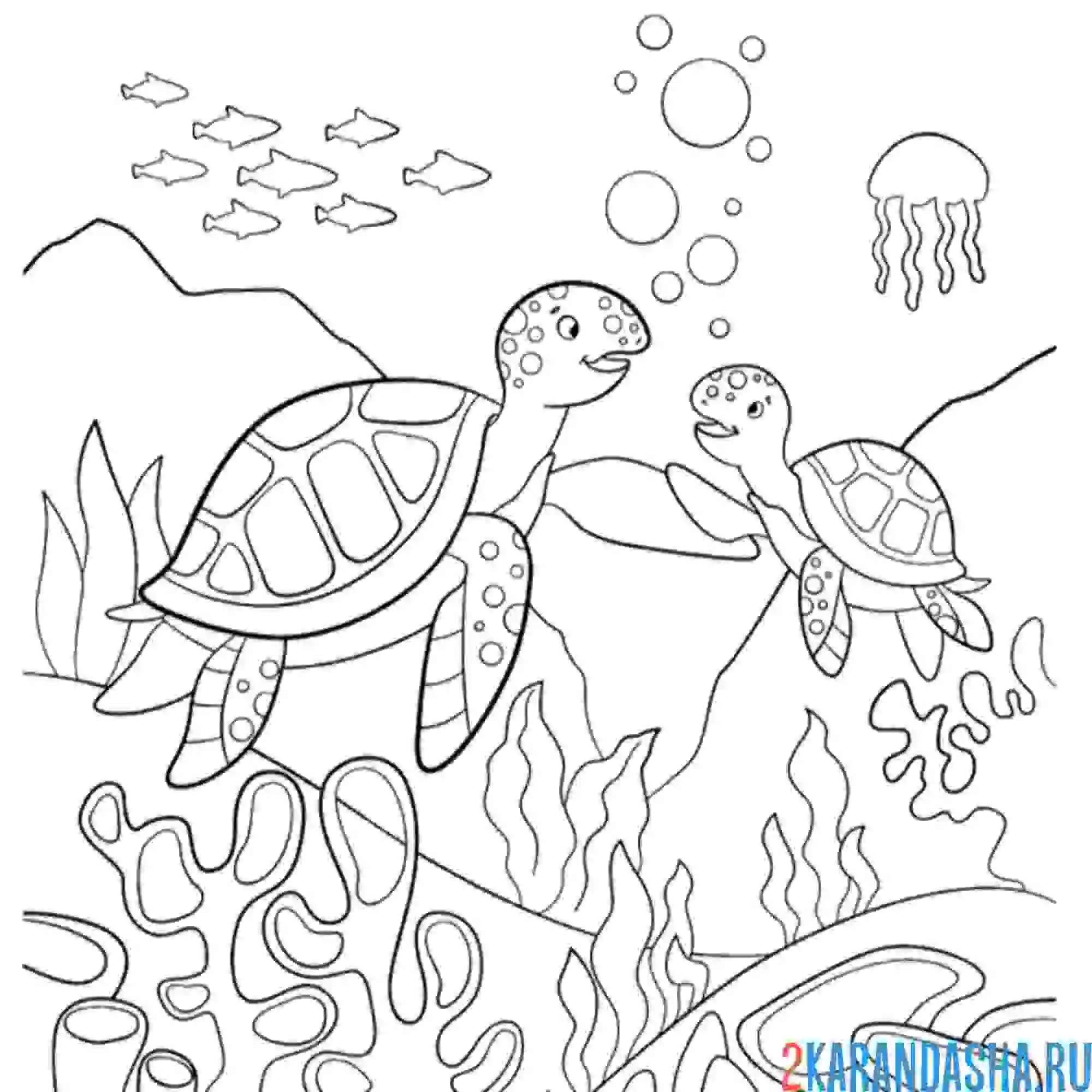 Раскраска морской мир с черепашками