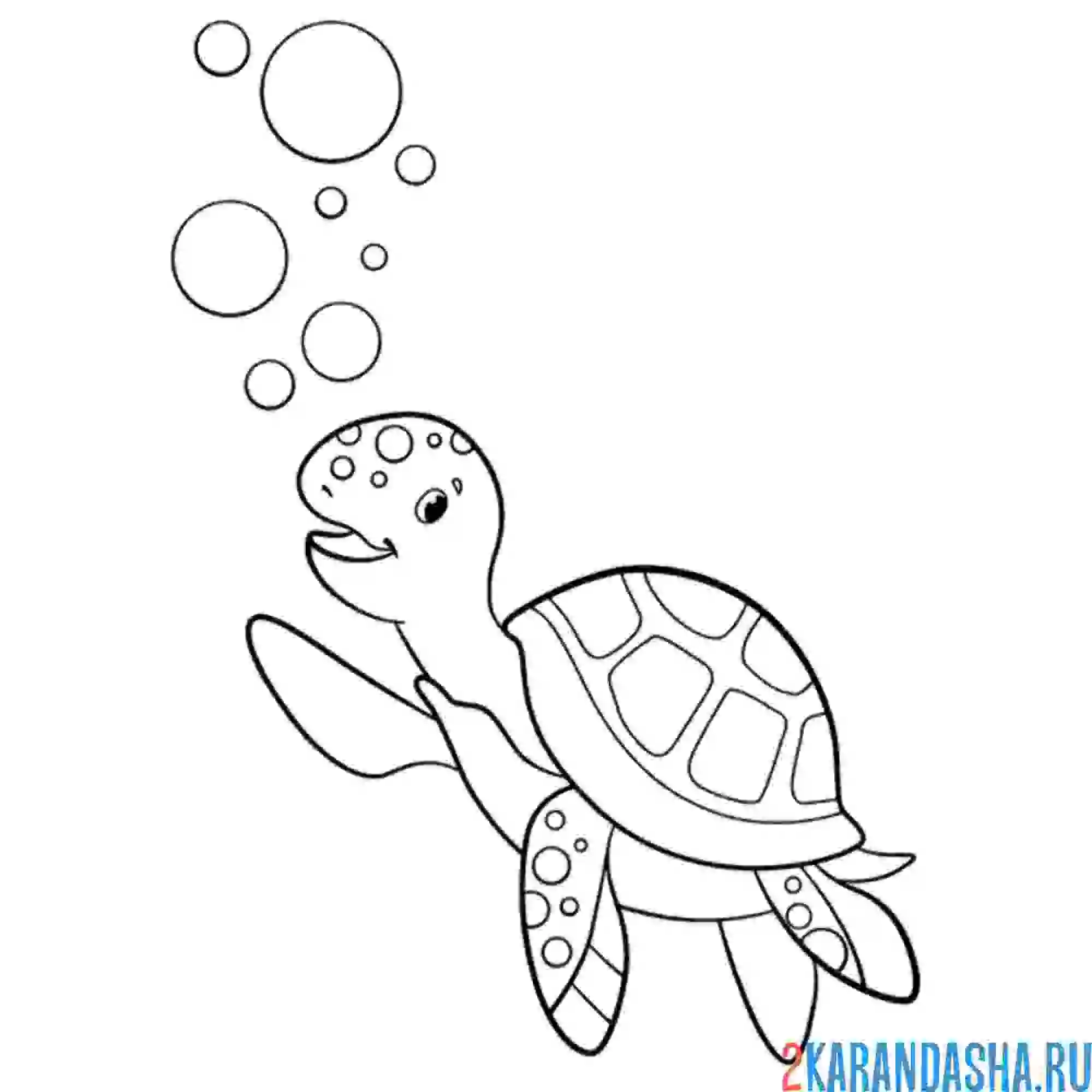 Раскраска черепаха здоровается