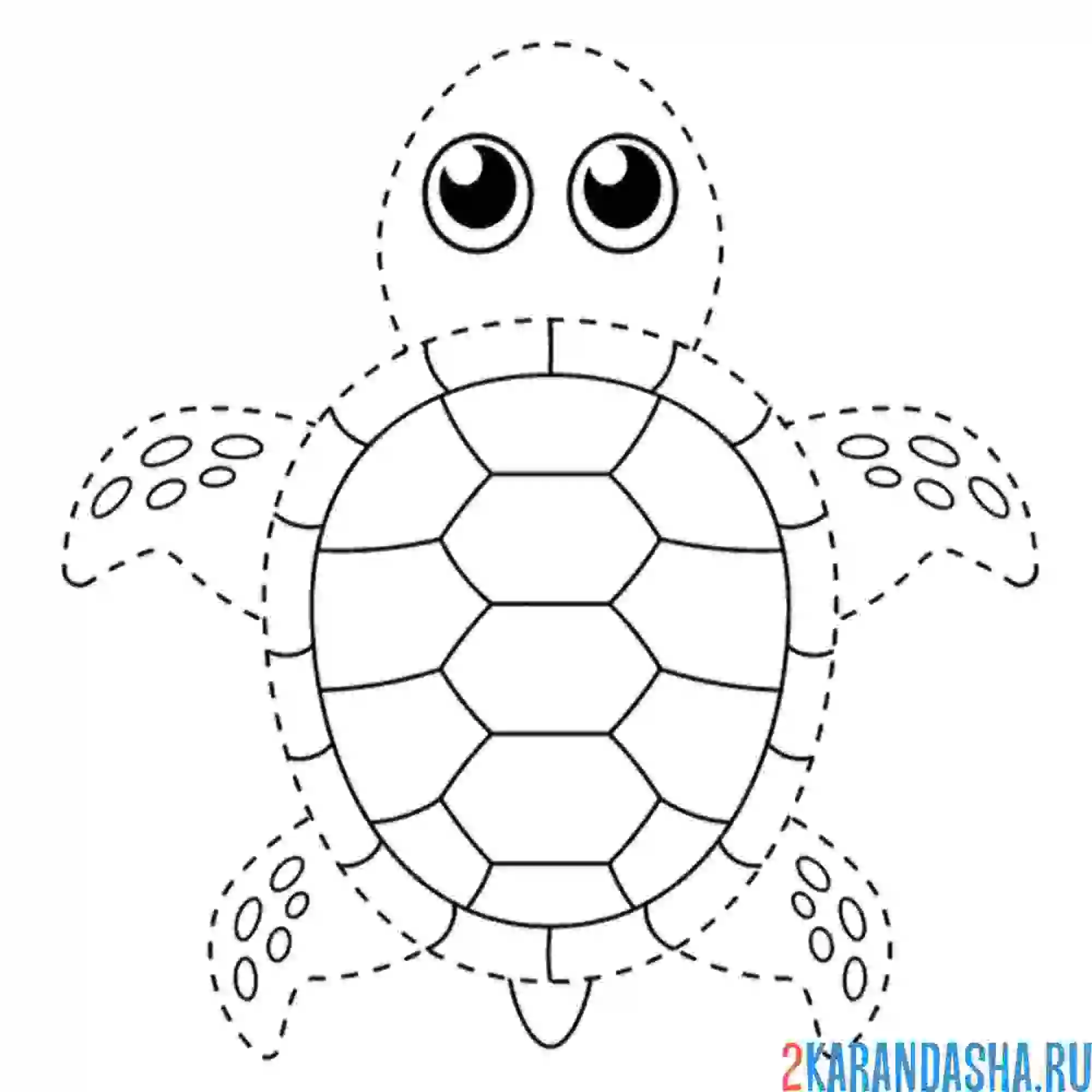 Раскраска обведи черепаху по линиям