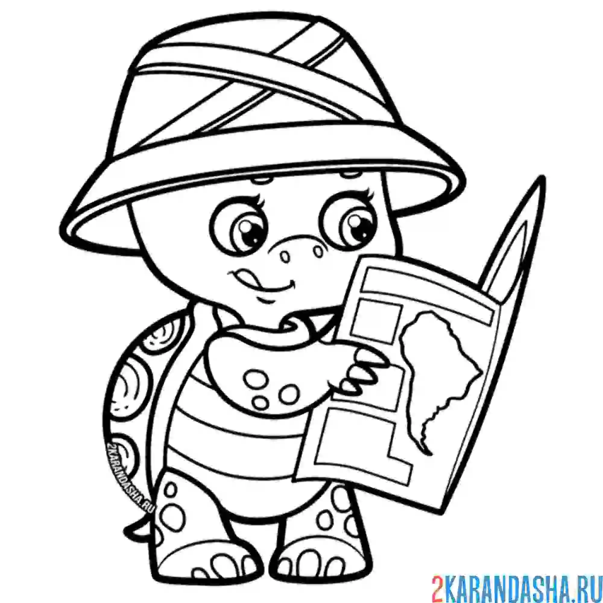 Раскраска черепаха смотрит карту