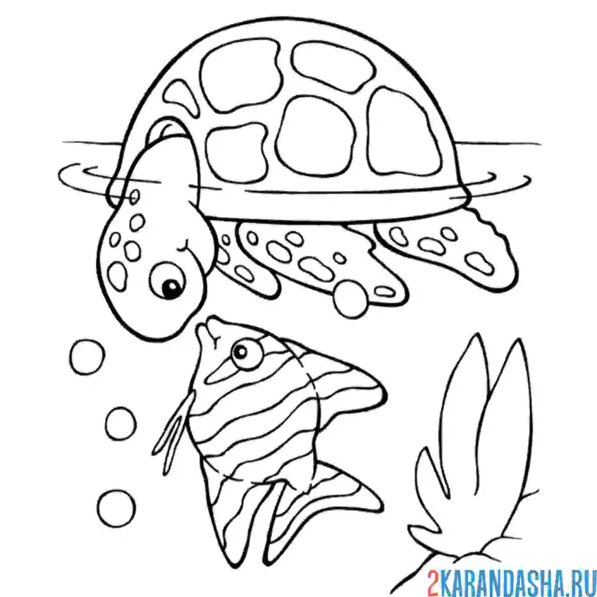 Раскраска черепаха смотрит на рыбку