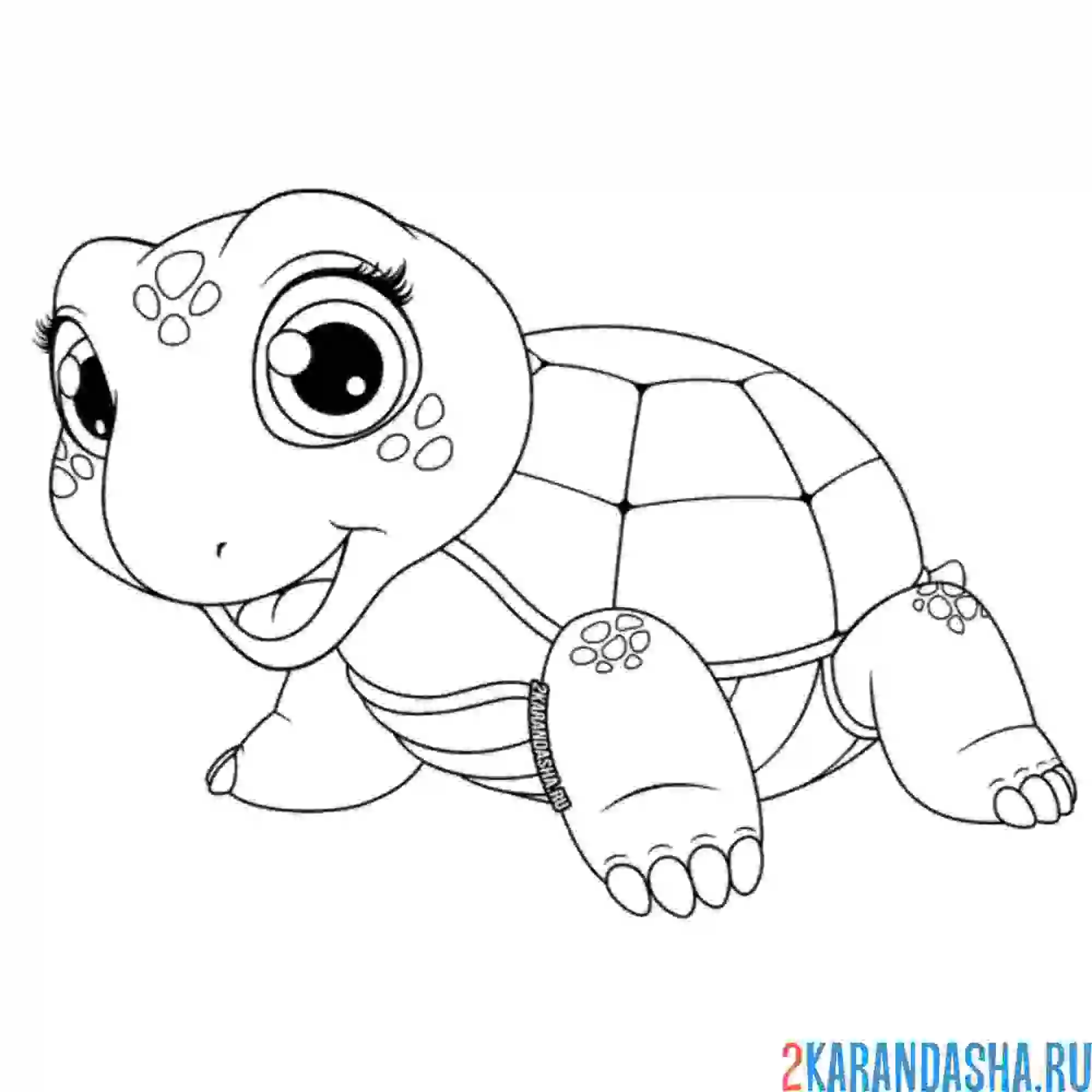 Раскраска черепаха улыбака