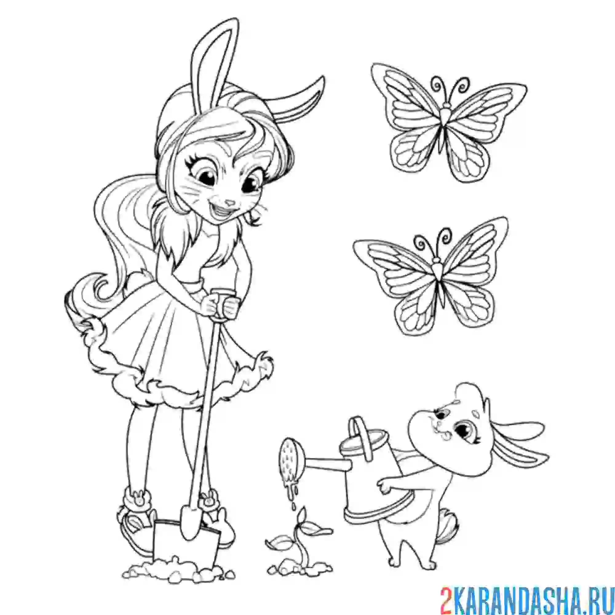 Раскраска бри кроля и твист