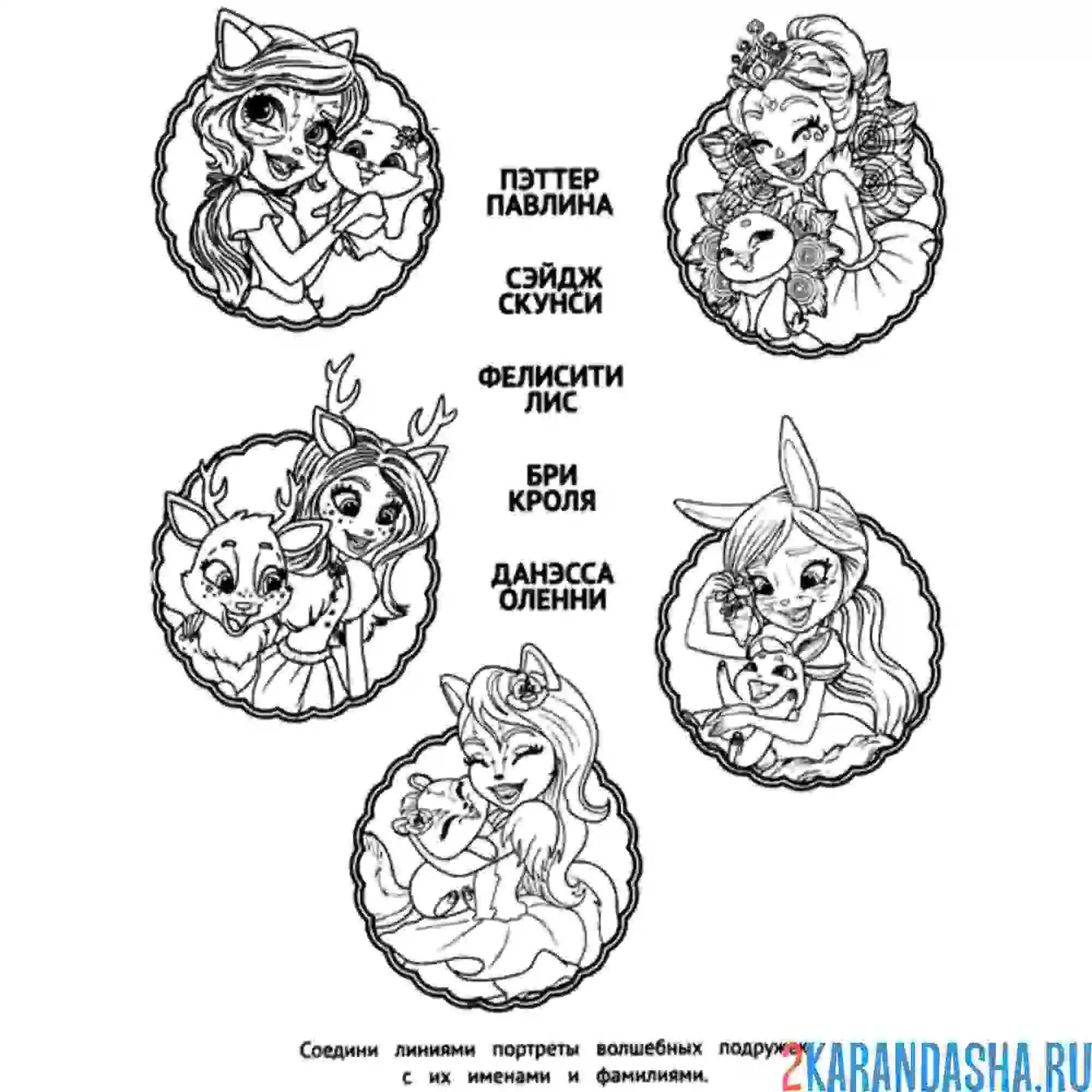 Раскраска кто есть кто? энчантималс