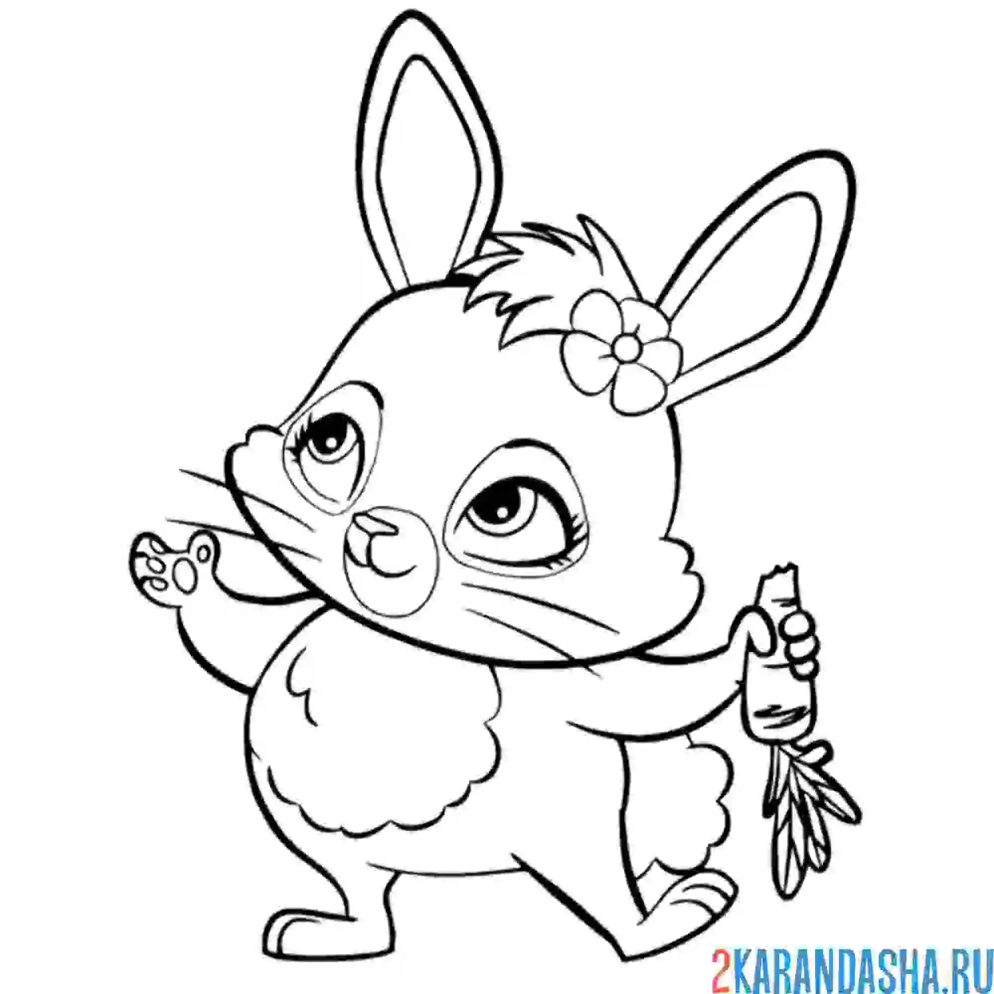 Раскраска энчантималс питомец кролик