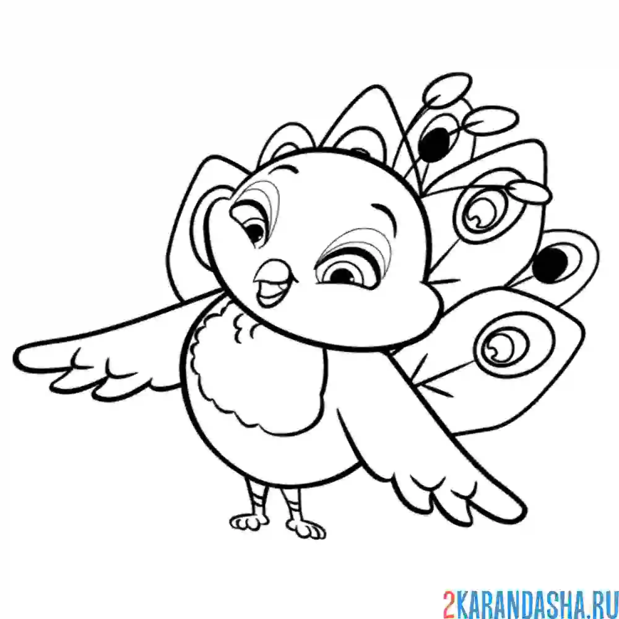 Раскраска энчантималс питомец павлин