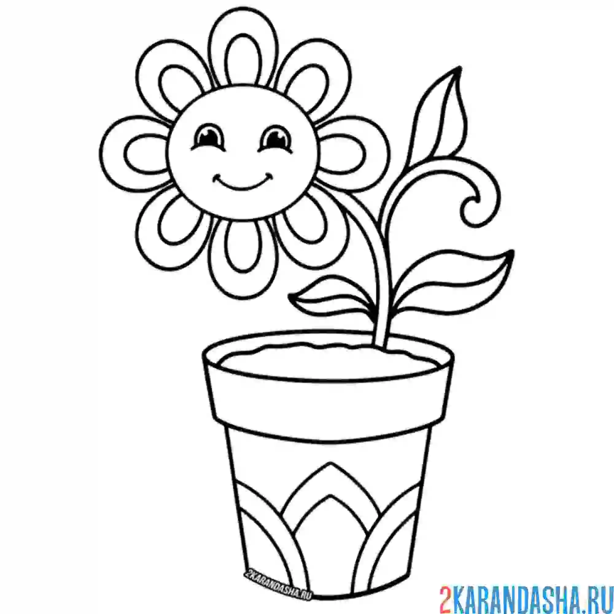 Раскраска ромашка в горшке