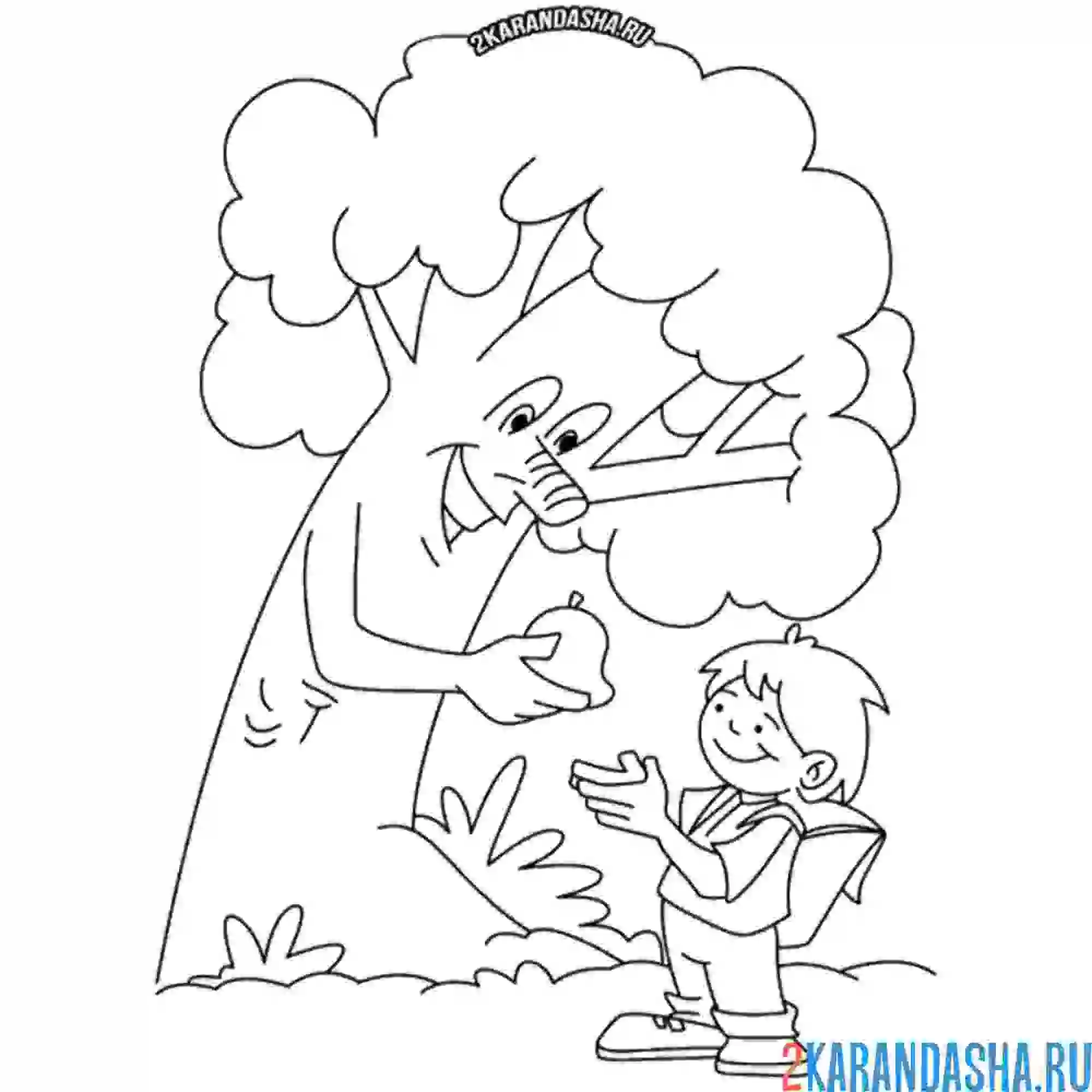 Раскраска береги лес, мальчик