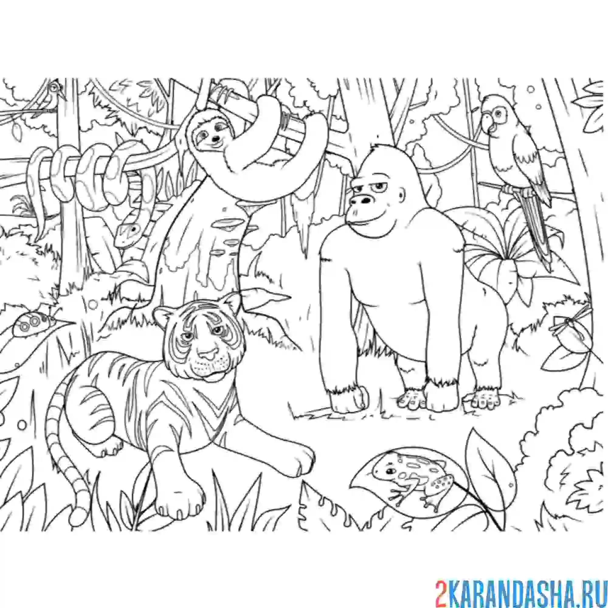 Раскраска животные в лесу