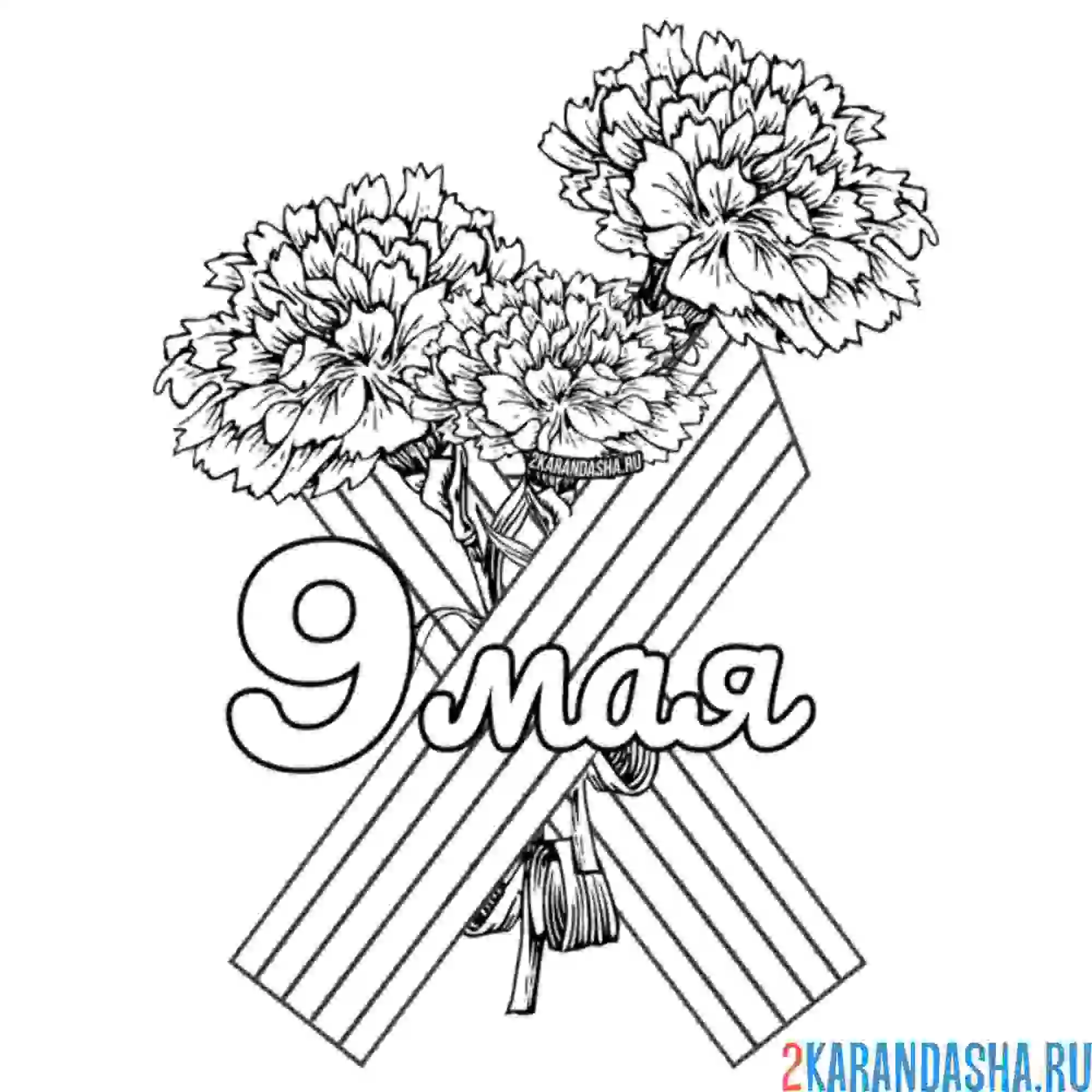 Раскраска гвоздики на 9 мая и георгиевская лента