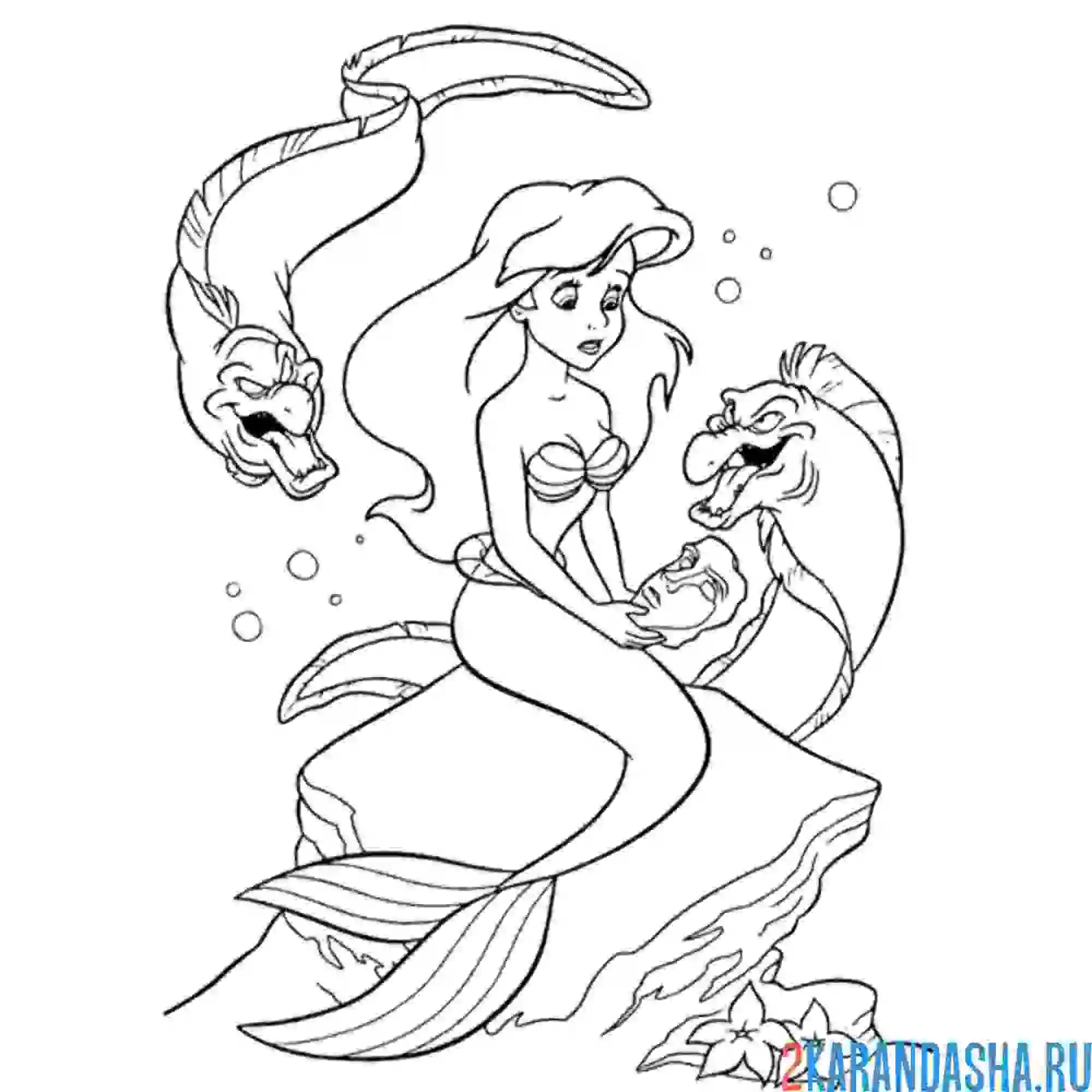 Раскраска русалочка ариэль и опасные рыбы