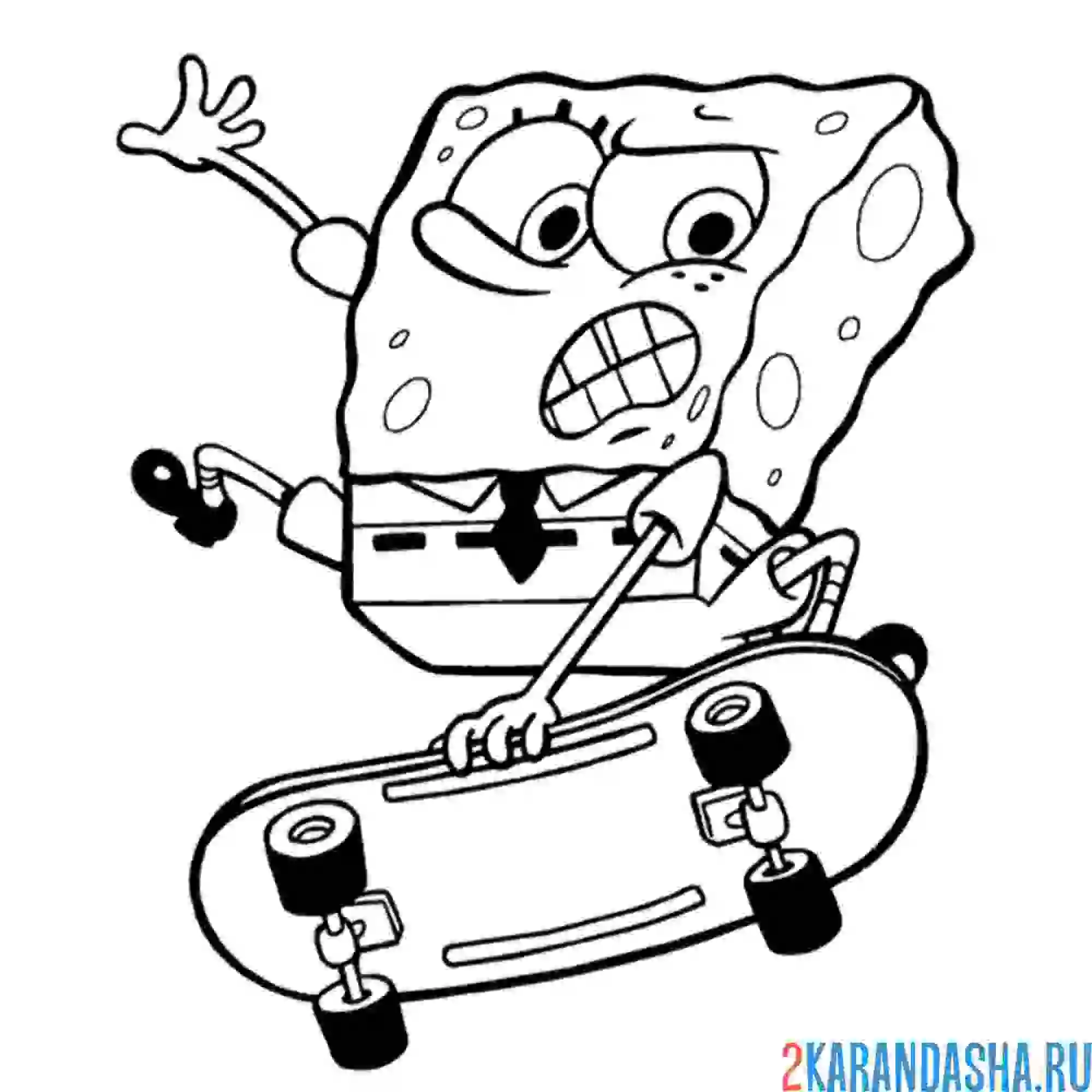 Раскраска спанч боб на скейтборде