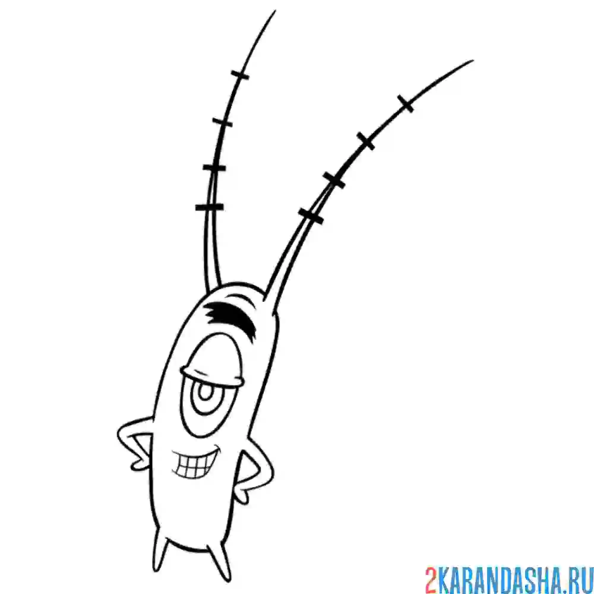 Раскраска планктон хитрый