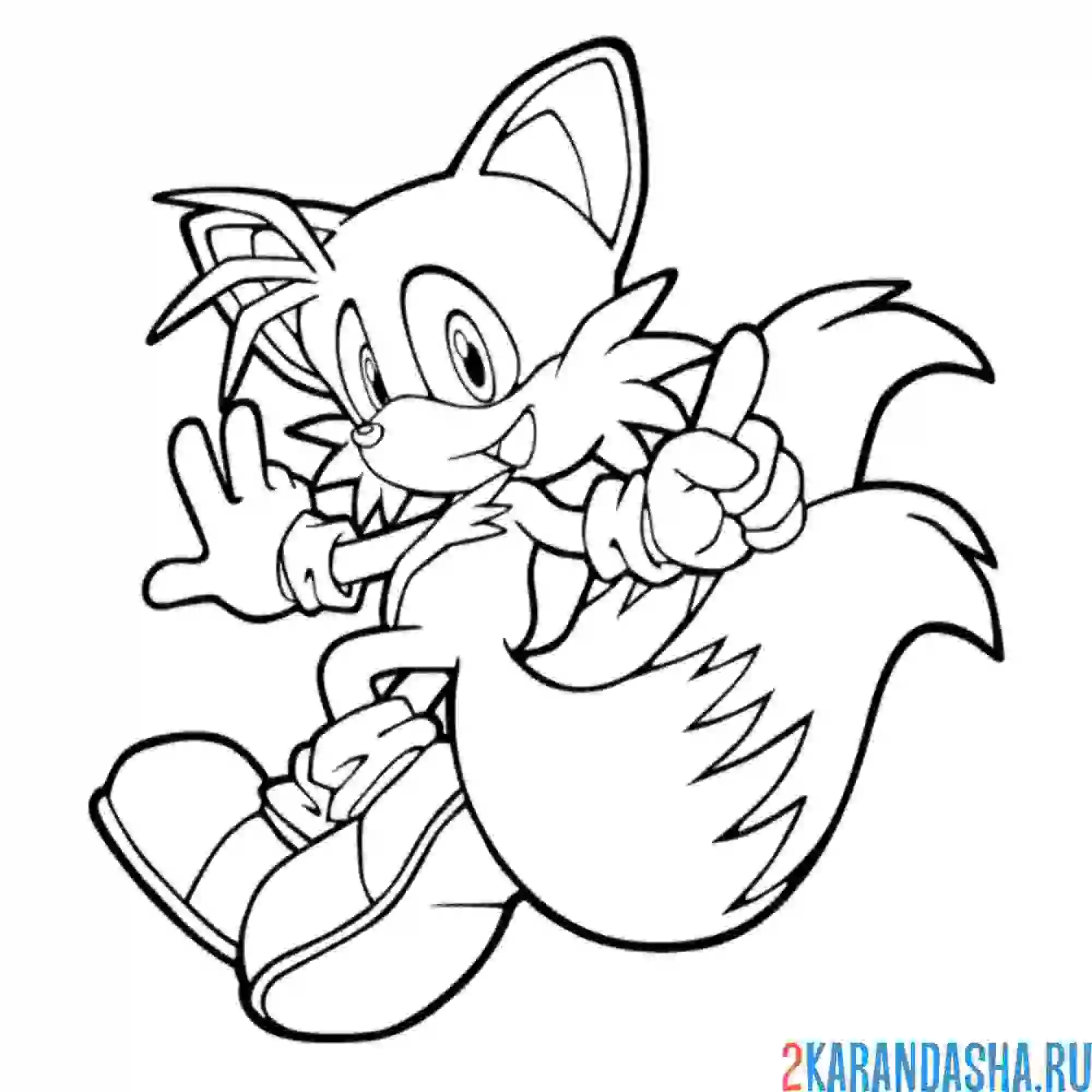 Раскраска тейлз