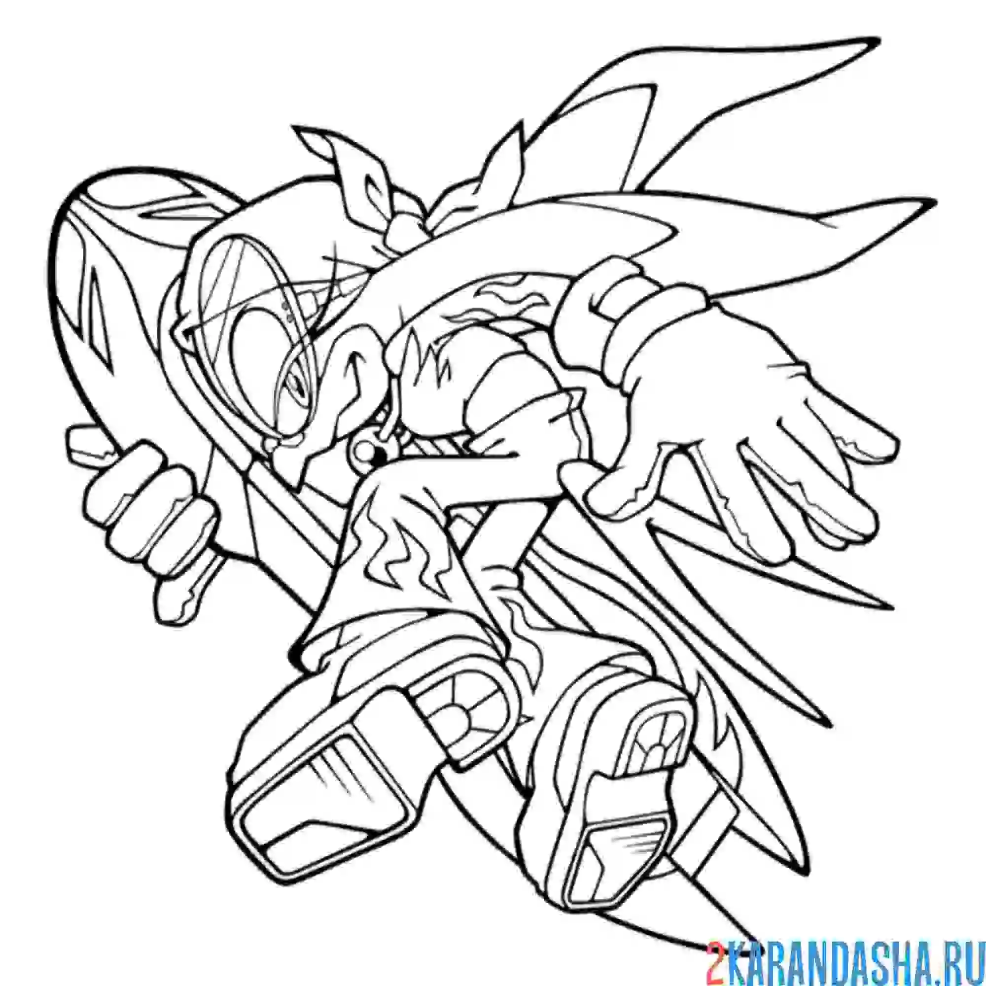 Раскраска ласточка вейв