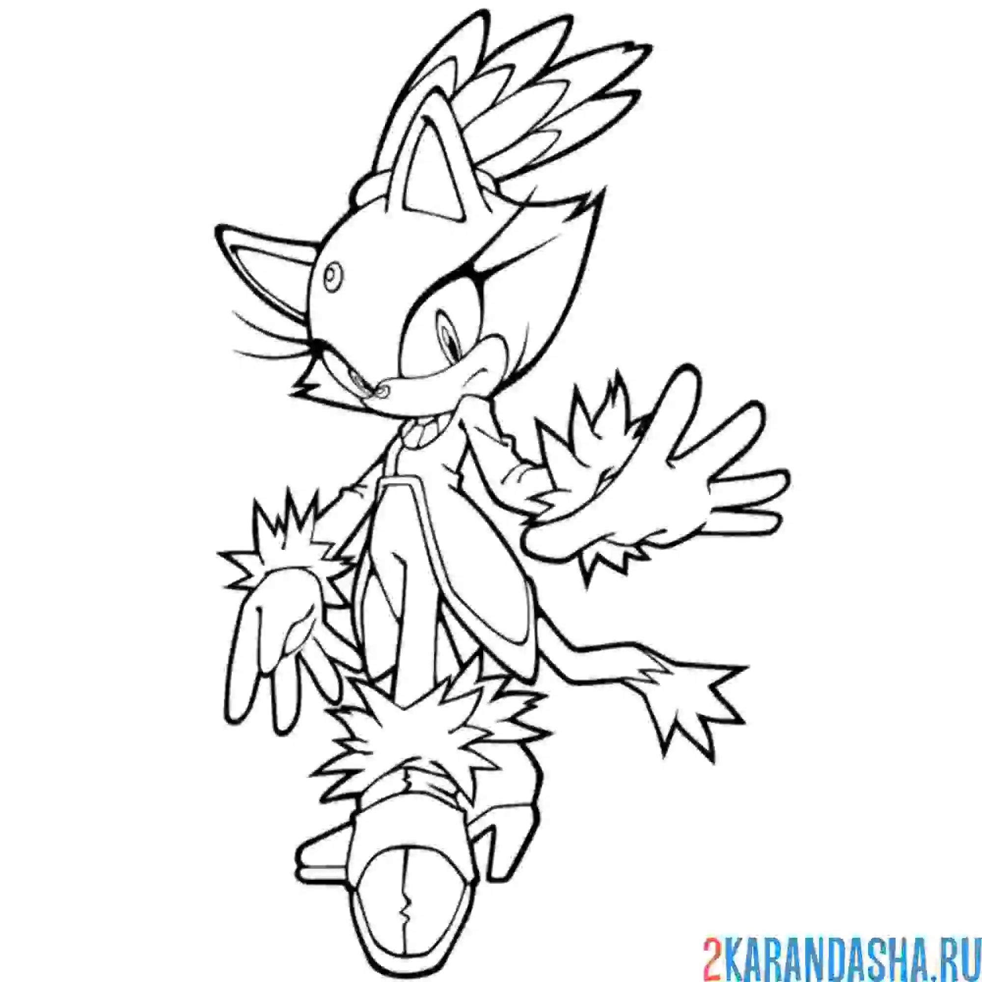 Раскраска кошка блейз