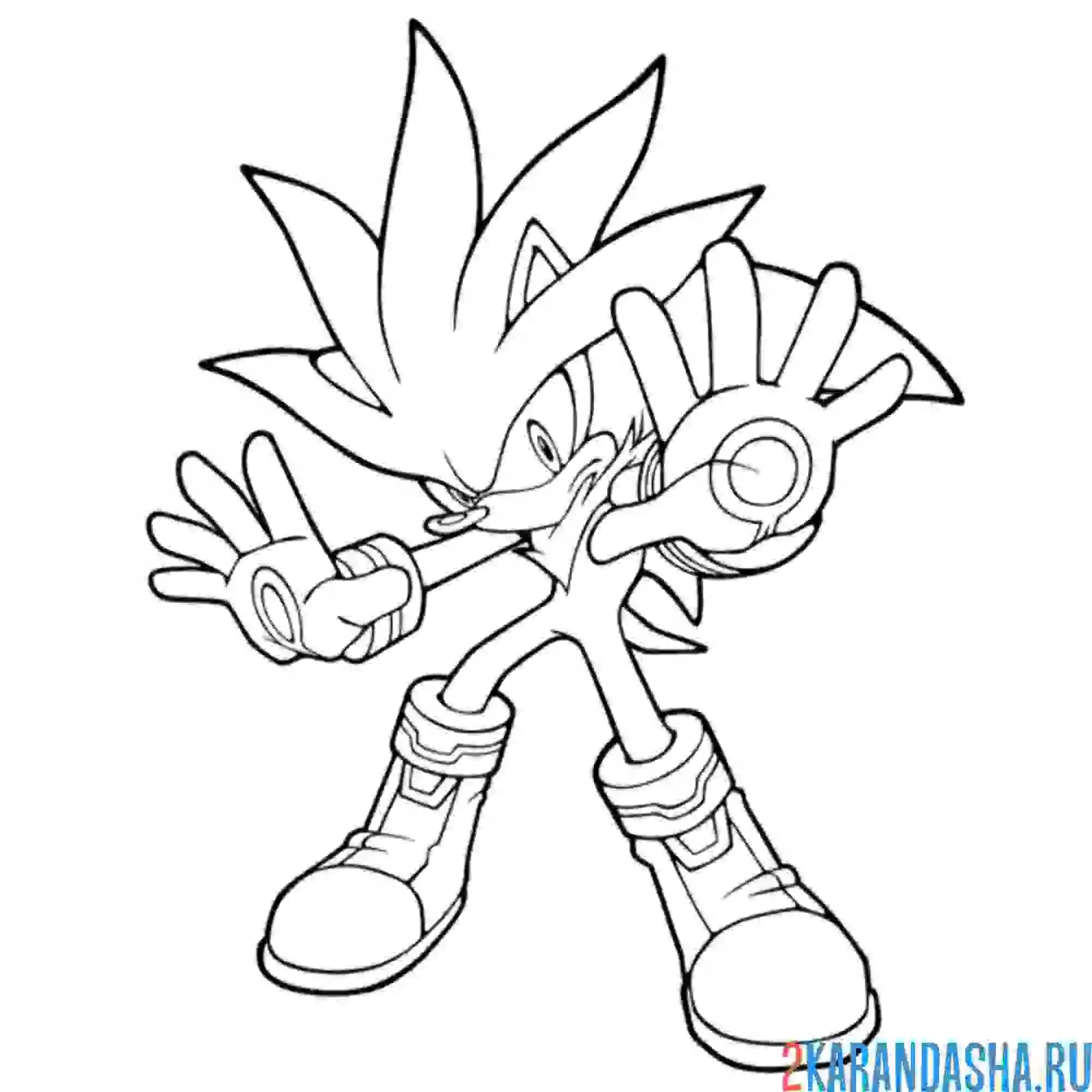 Раскраска еж сильвер